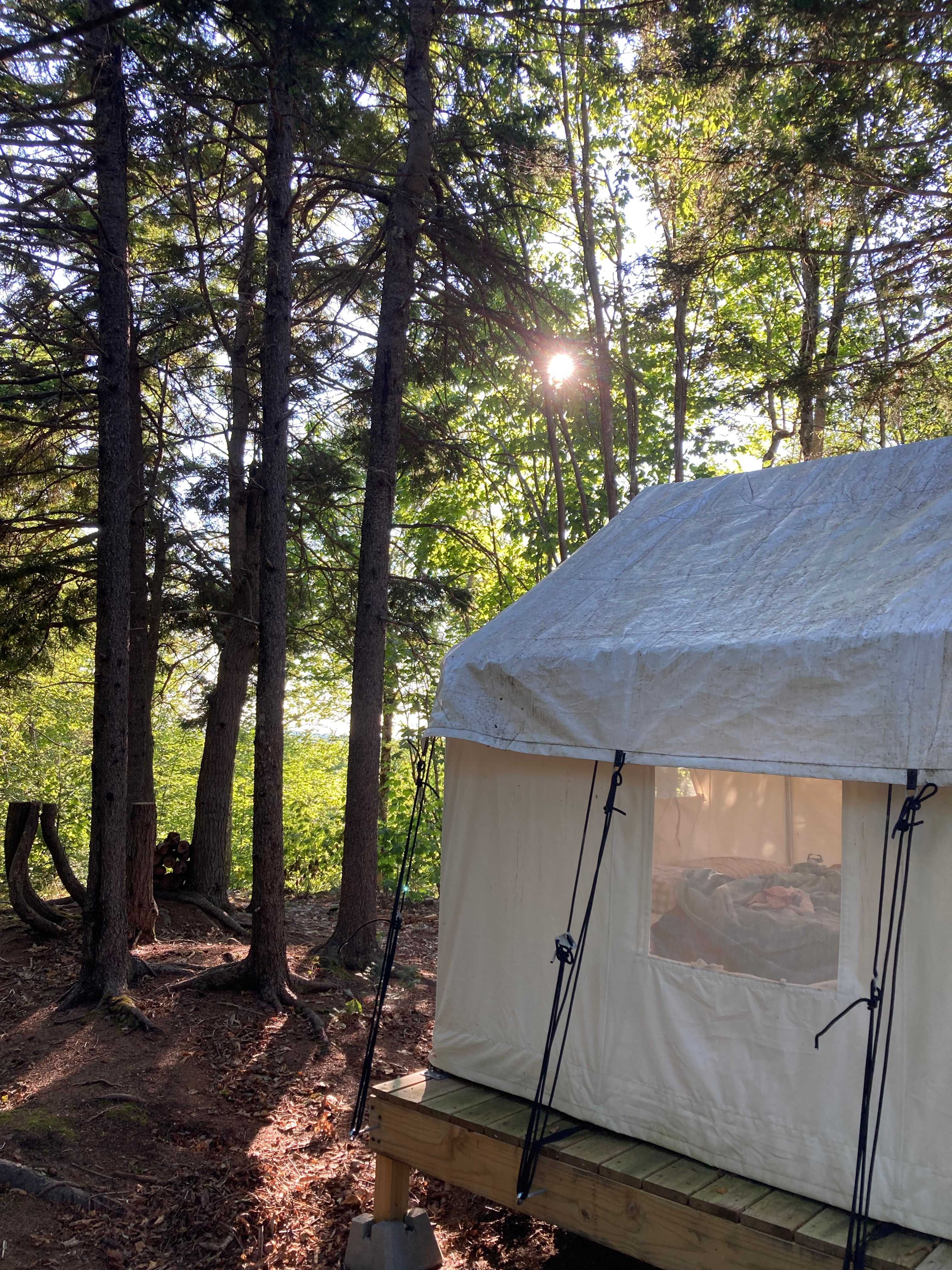 View of the side of tent by picnic table