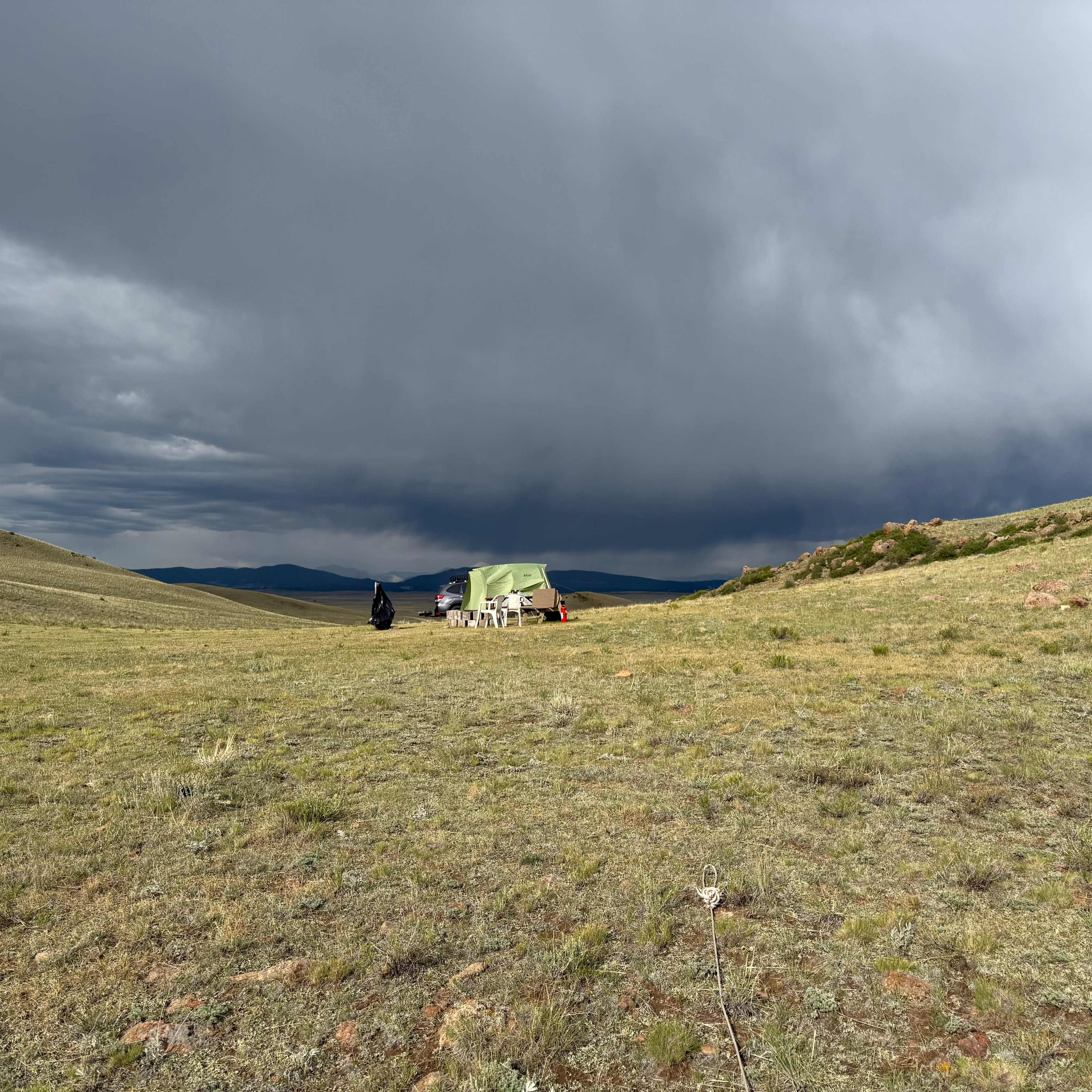 Pronghorn Oasis