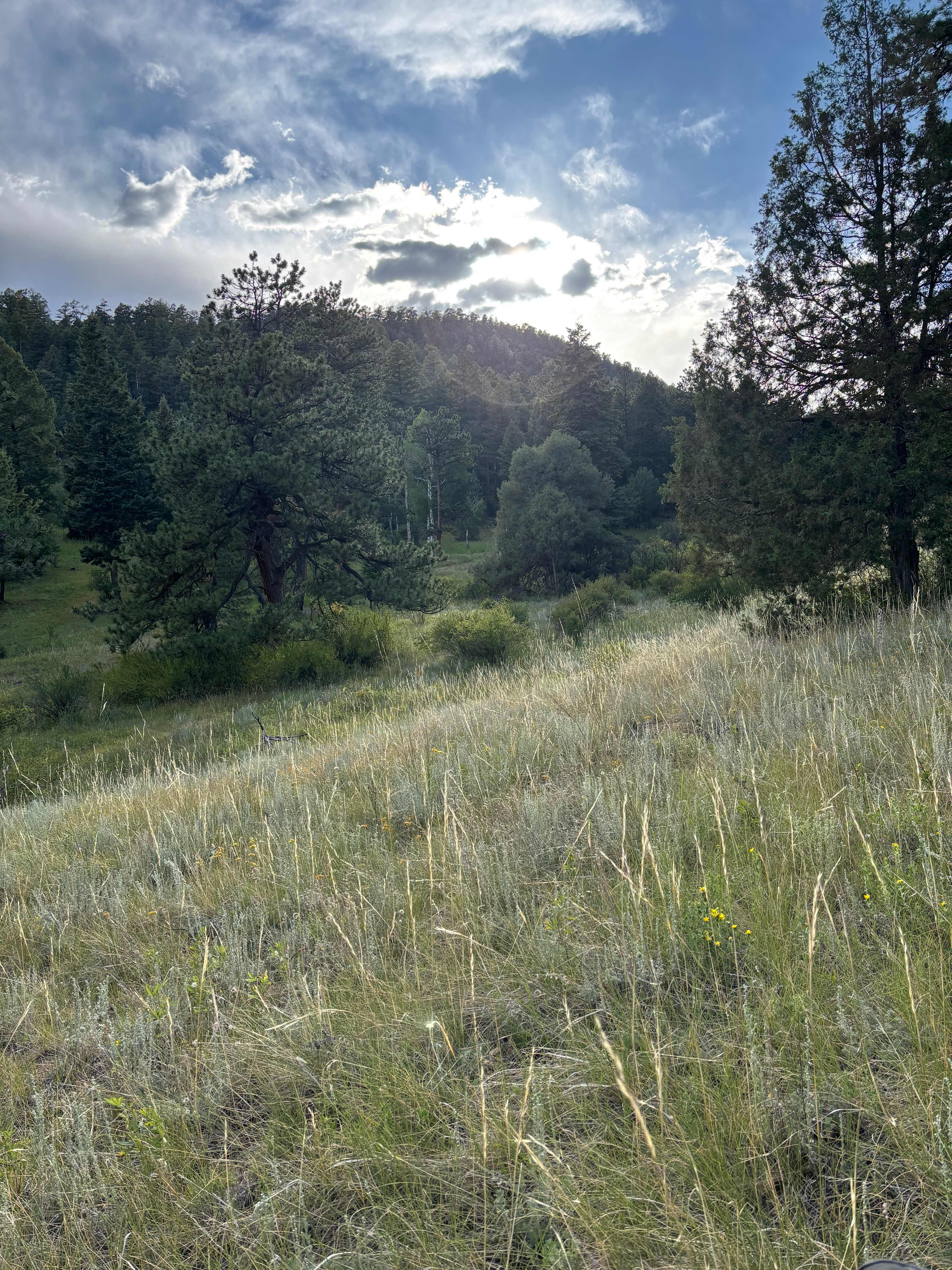 Serenity in the Foothills