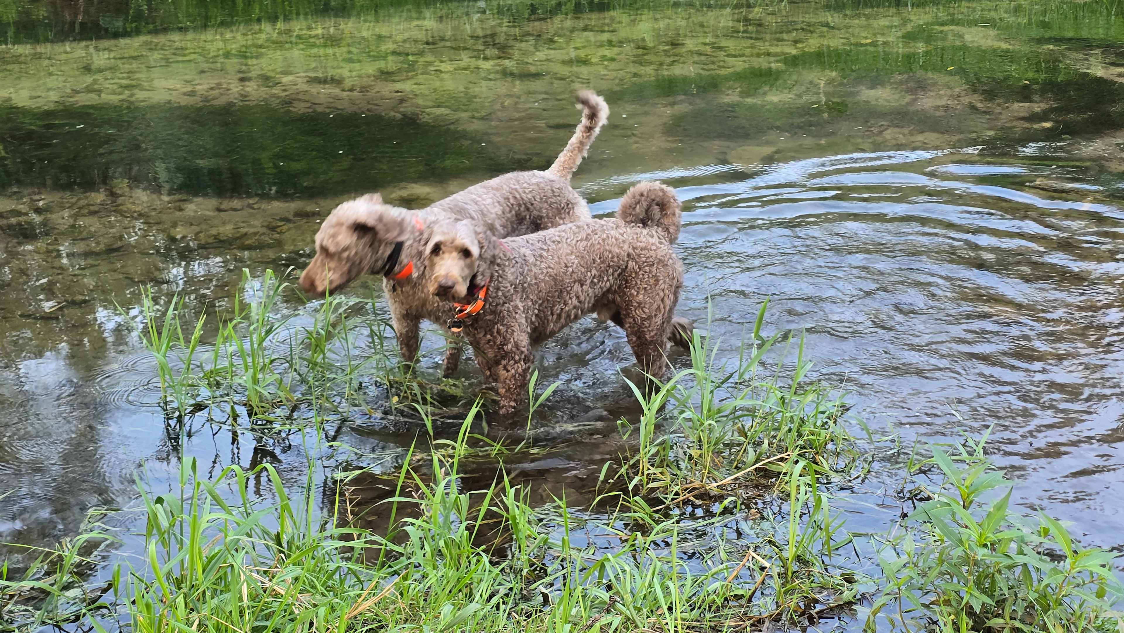 New Hartford trout camp