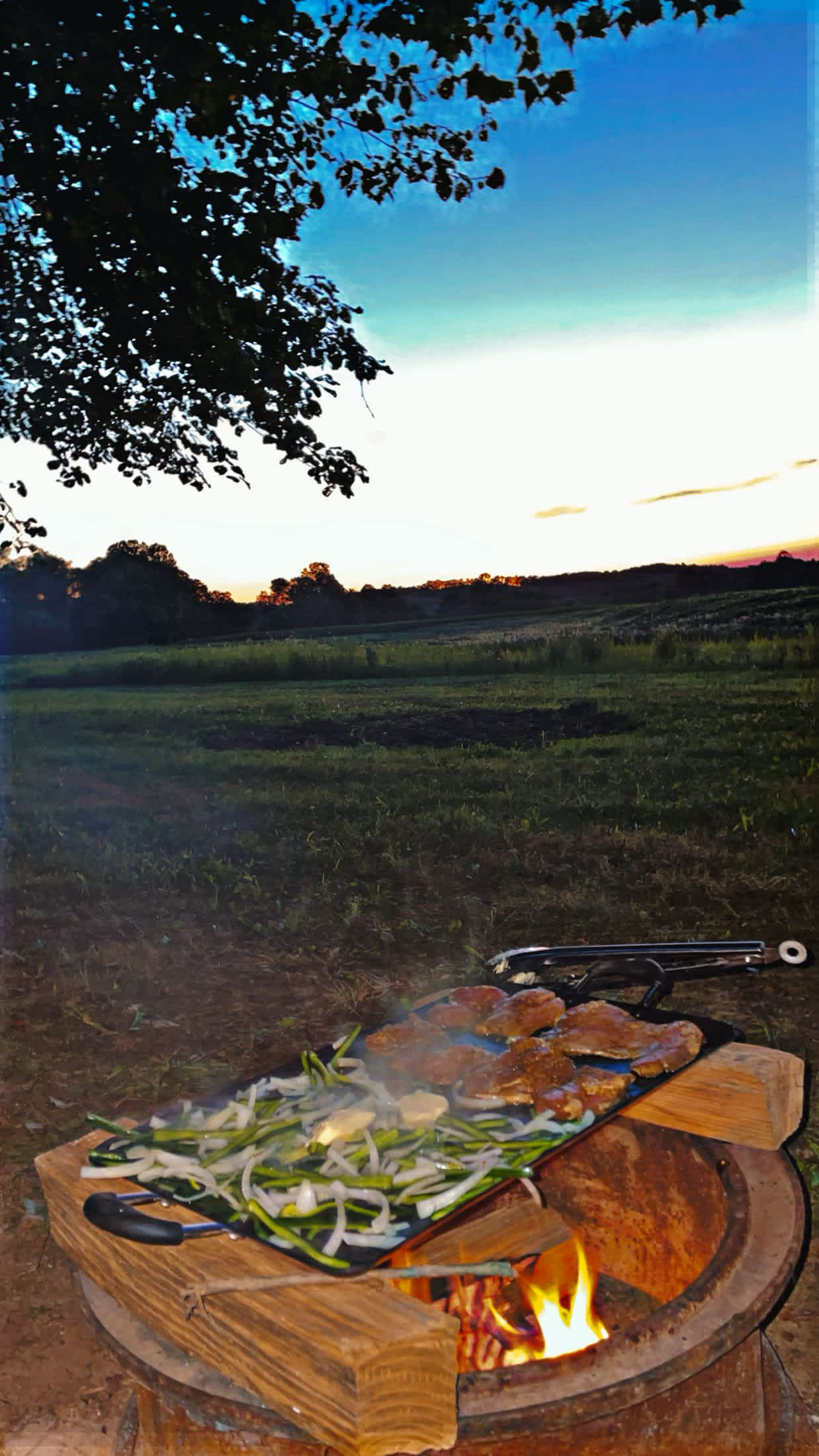 Beautiful sunsets 