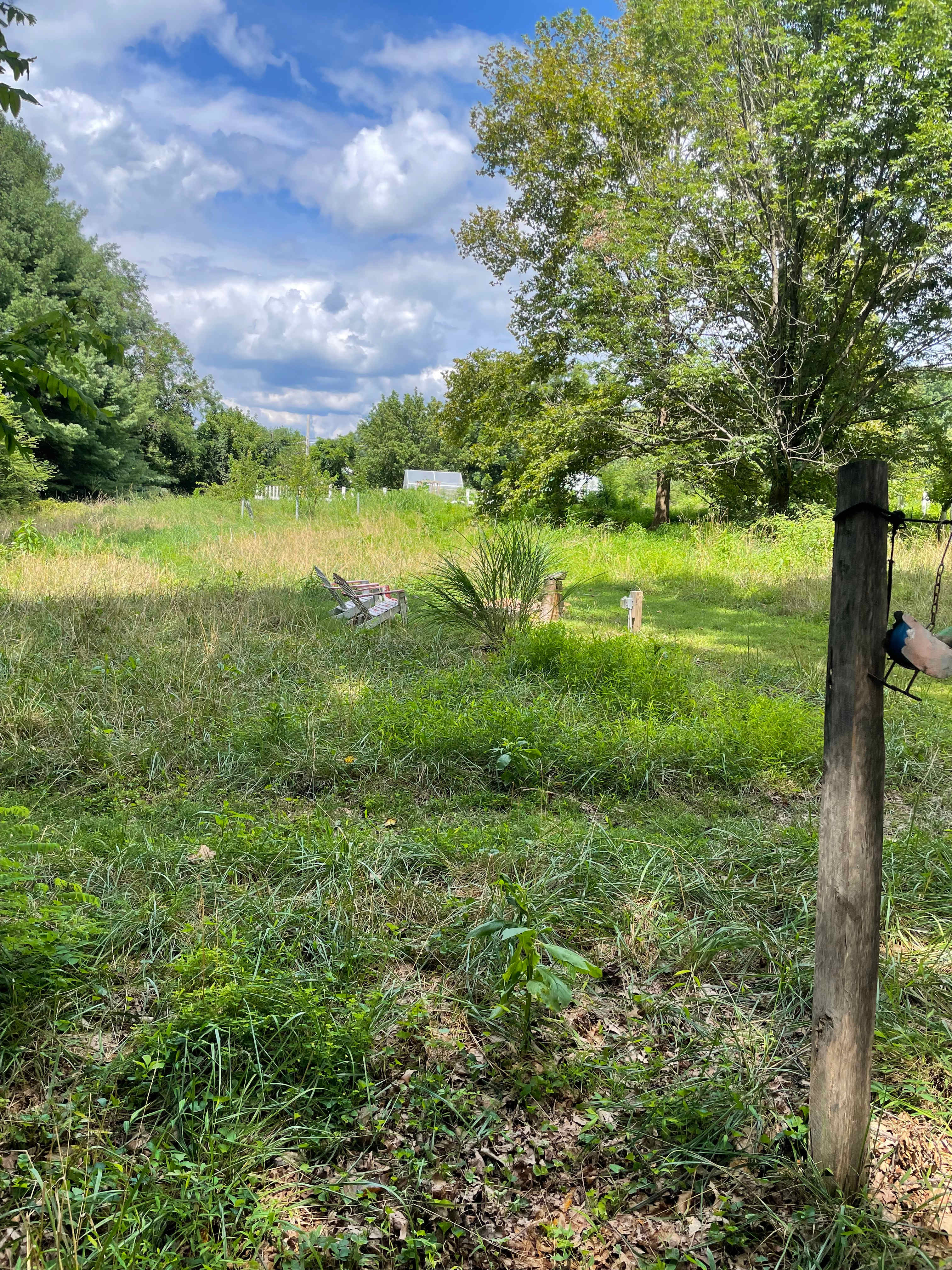 One of our views!🤩💕