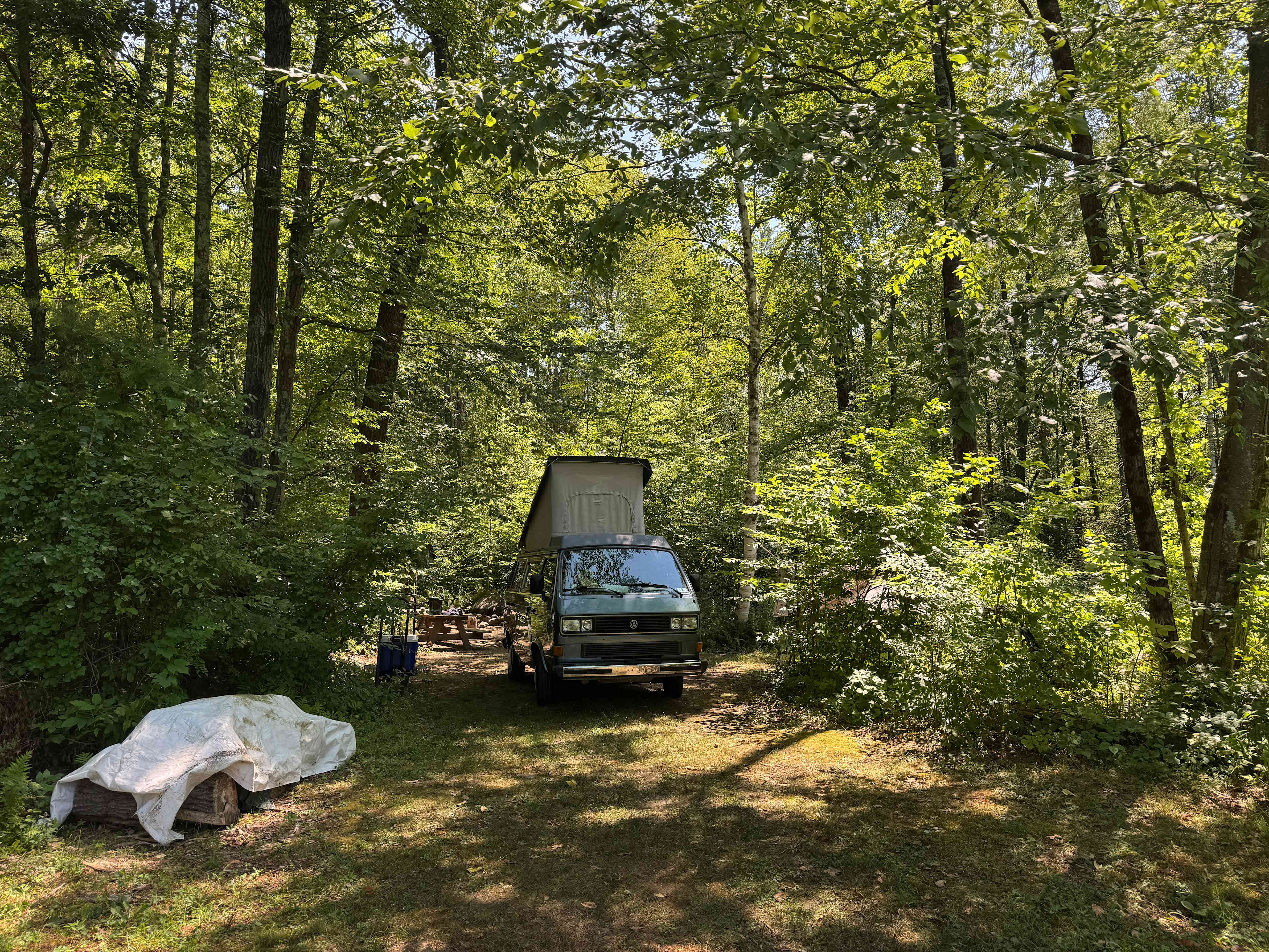 Looking into the main site (with camper blocking the view)