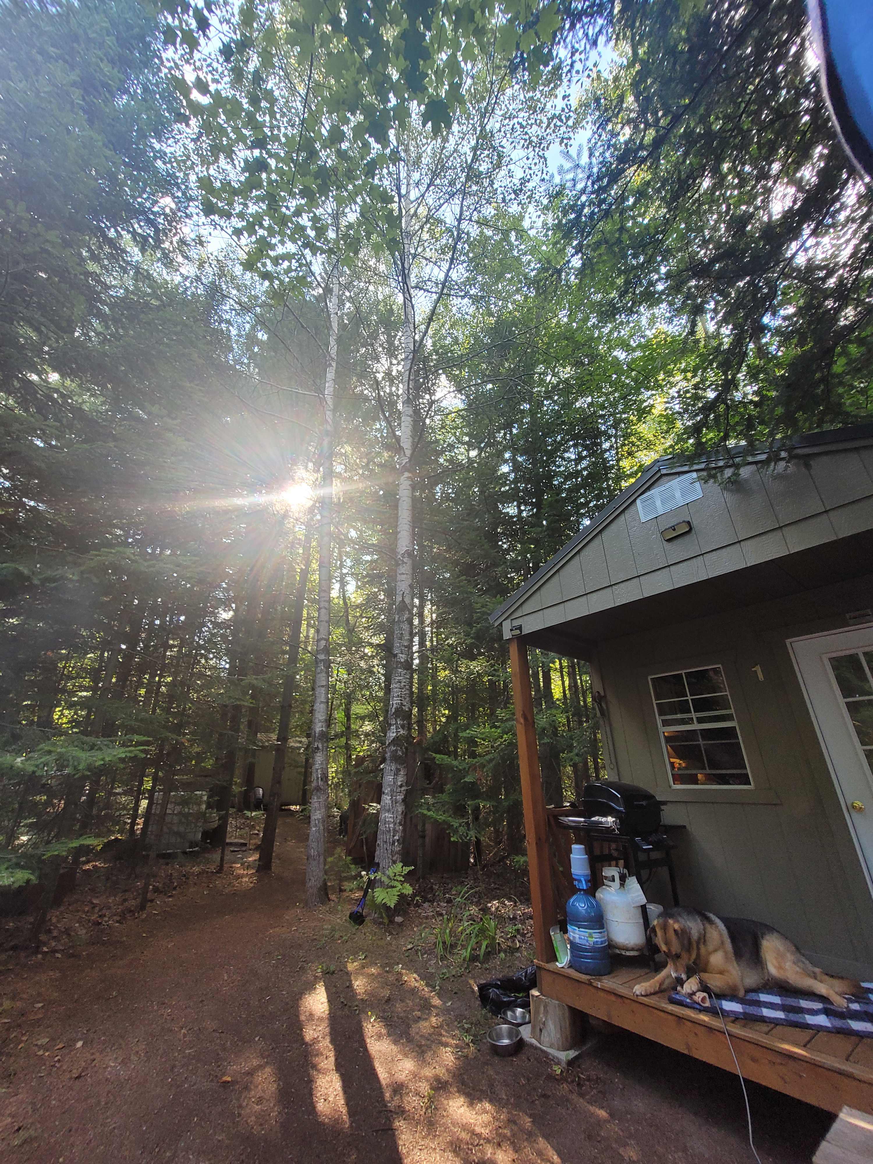 The Cabin - Cozy Rustic Retreat