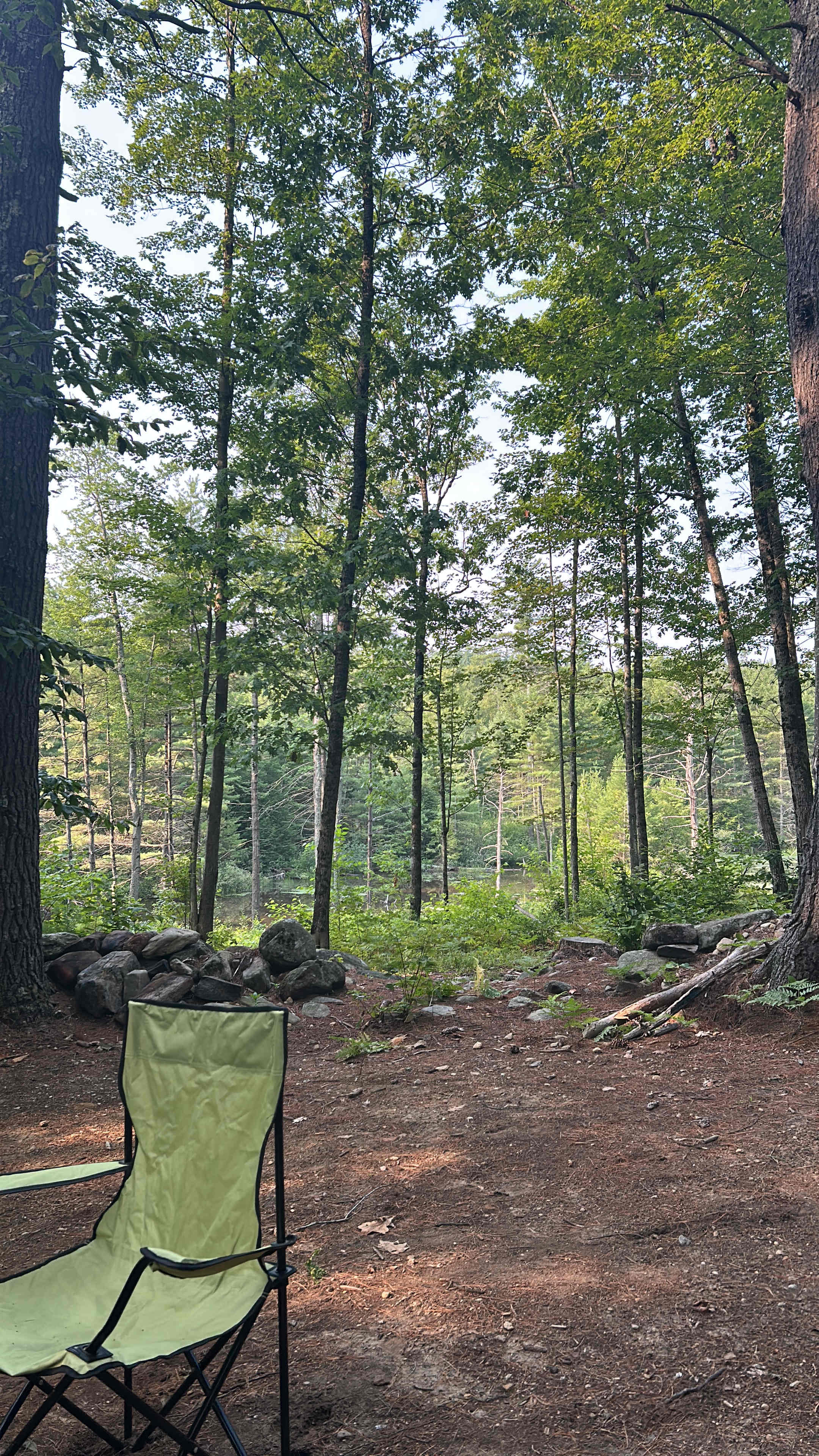 Deep Woods Hideaway