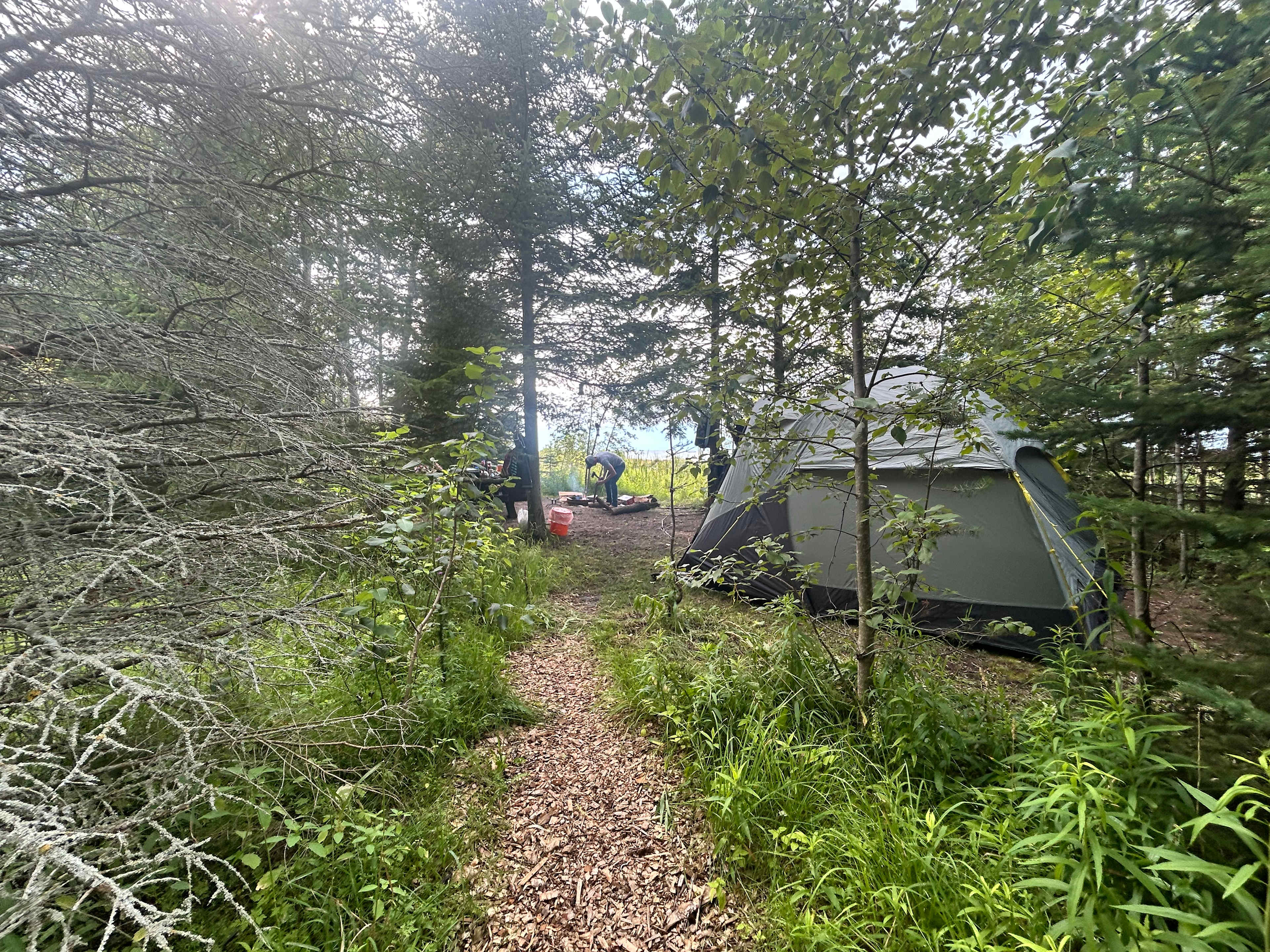 Walking path to site 3