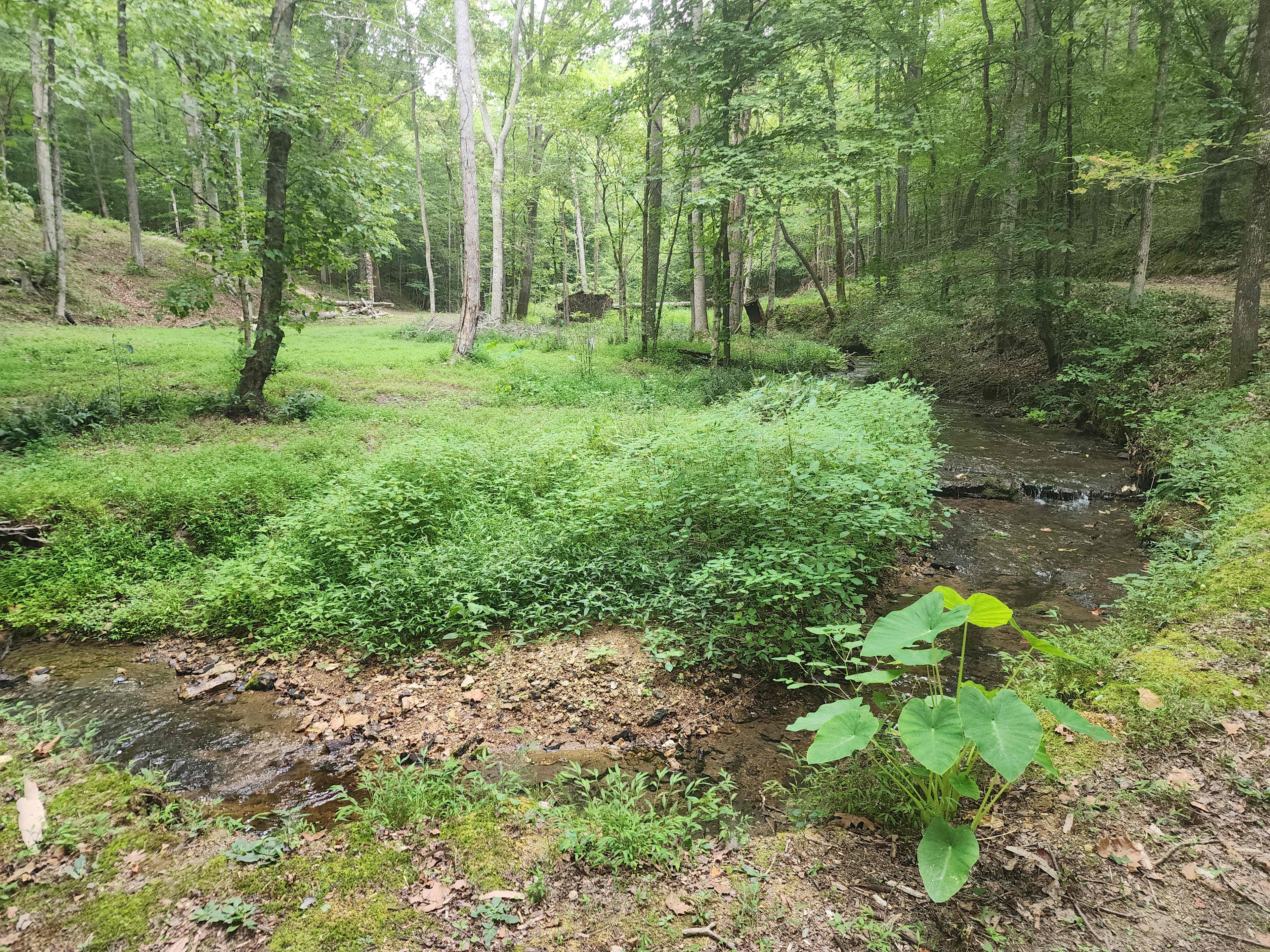 Lionsgate Campground