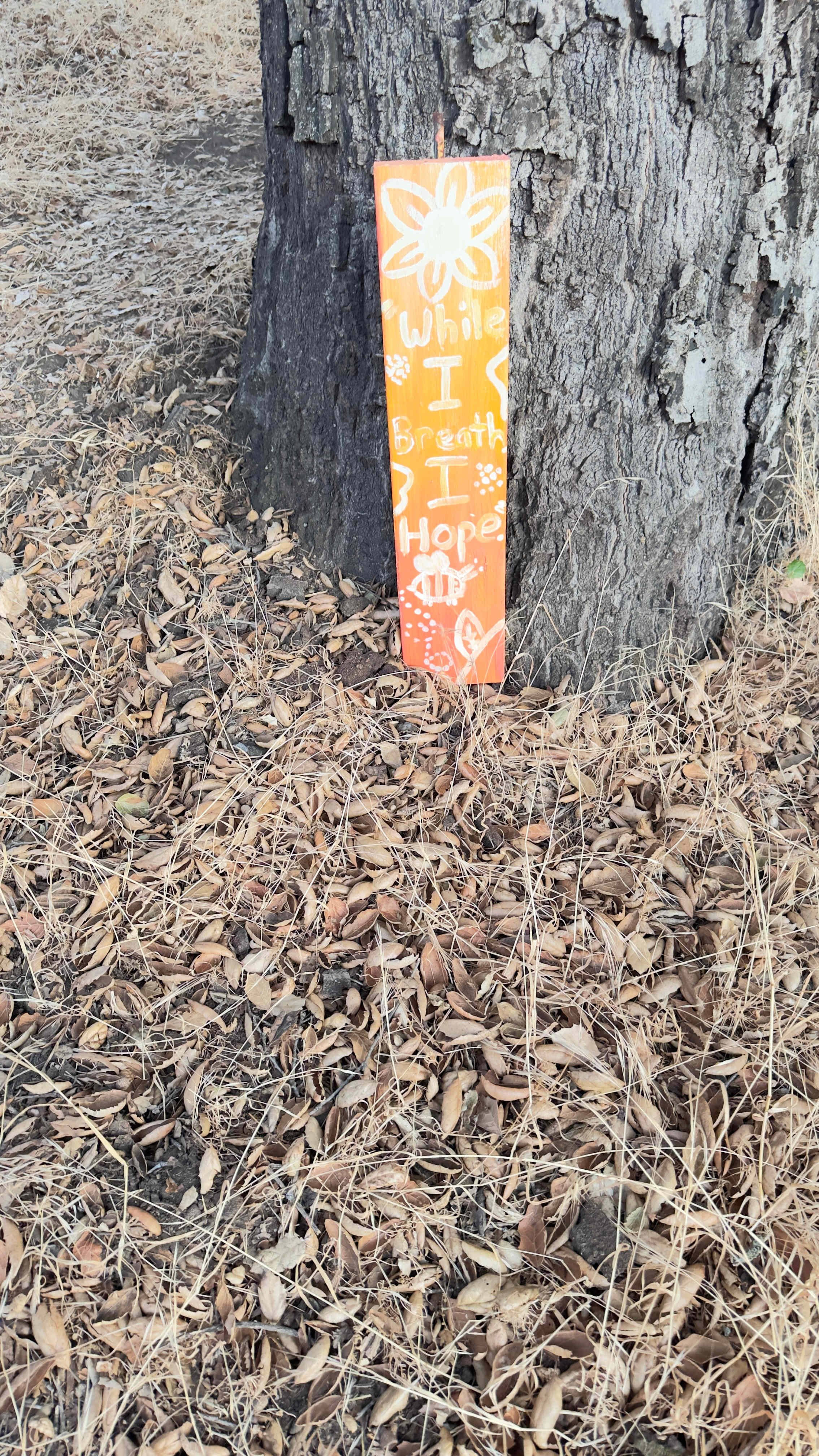 Magical Harrison Serenity Ranch