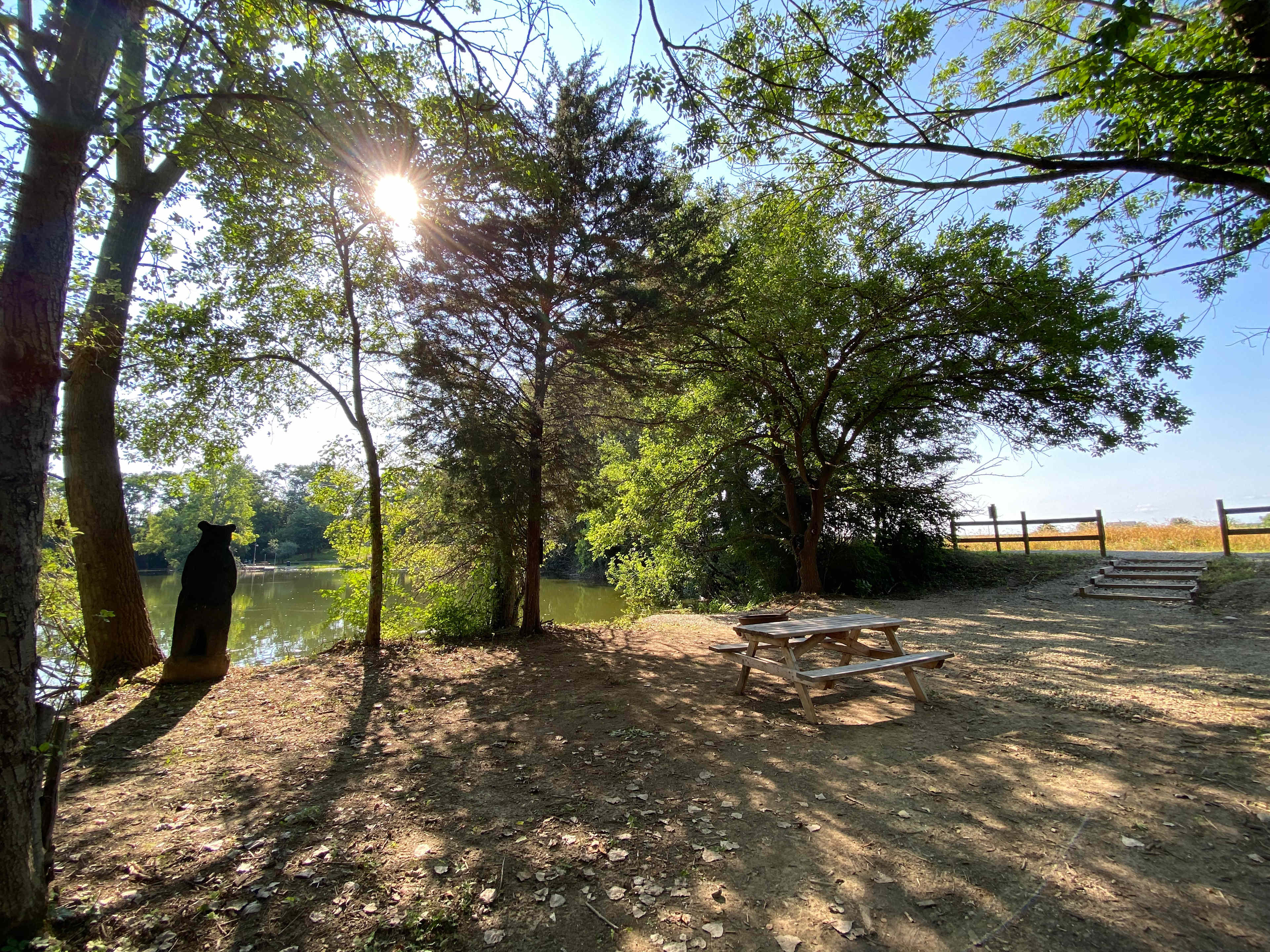 Picture of the site
