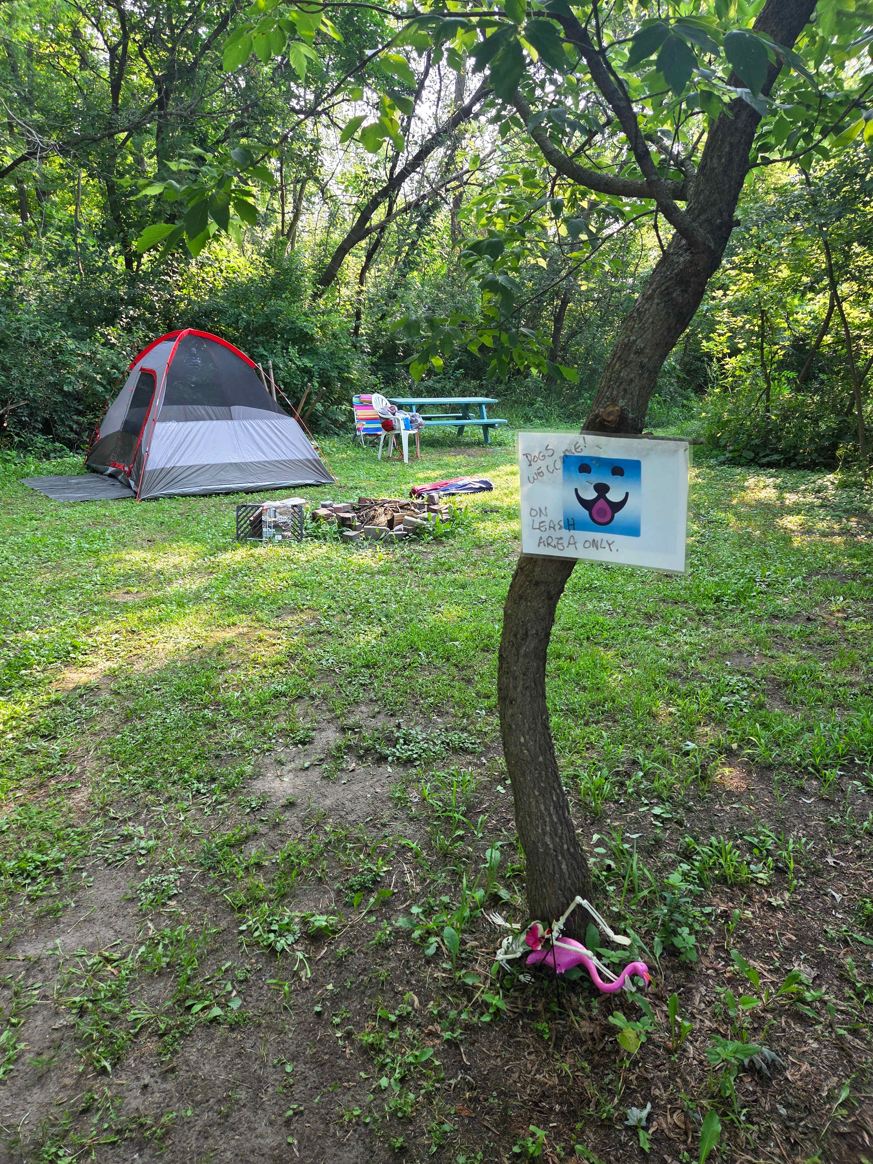 Daisy’s Farms On Notalotta Acers