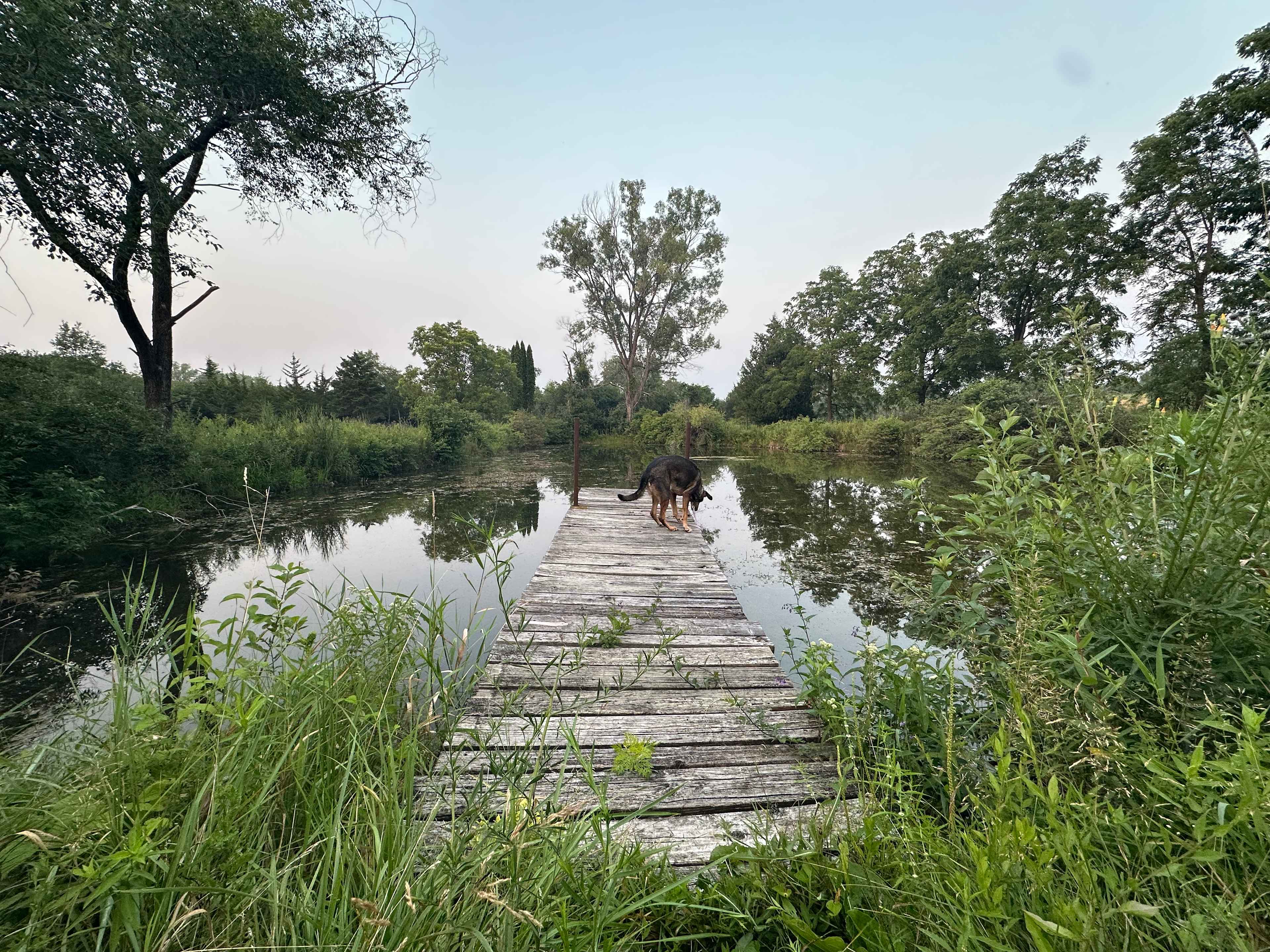 Pearl Forge Conservancy
