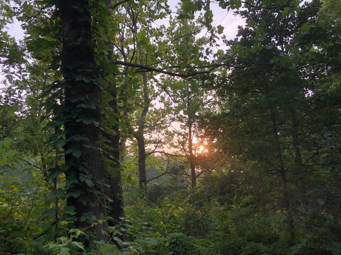 Draco Hill Nature Farm