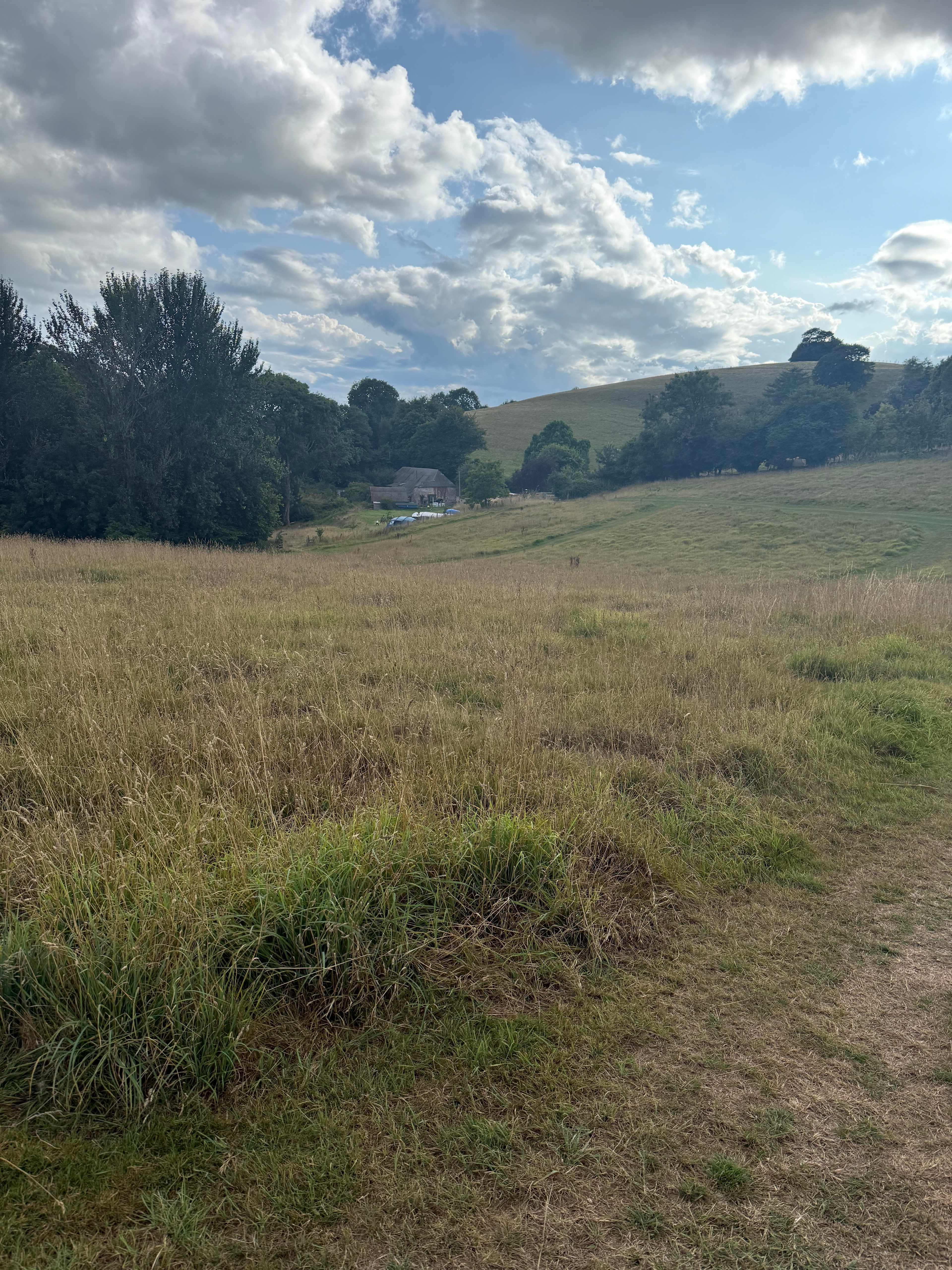 Hincknowle Cider Apple Farm Camping
