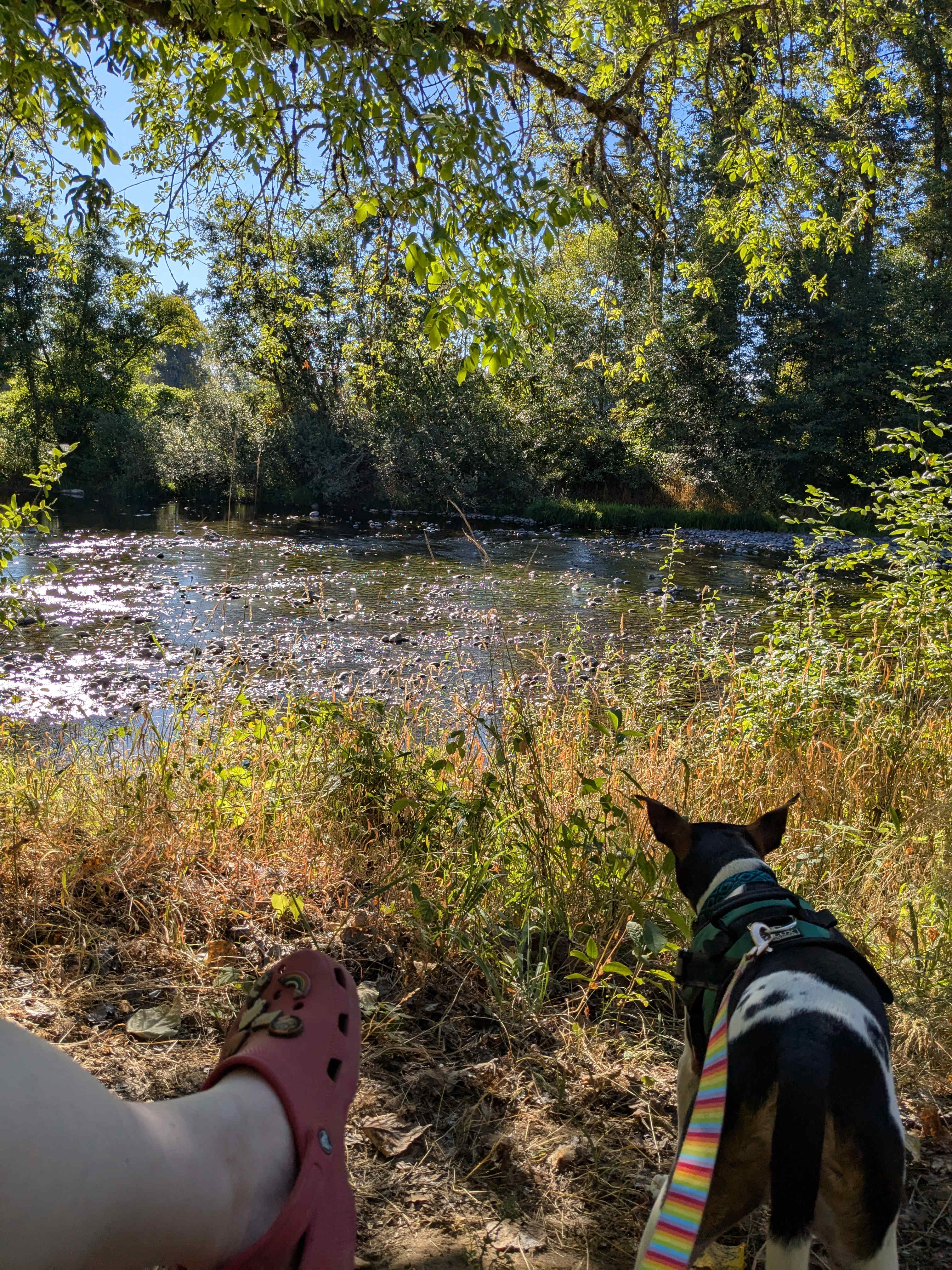 Molalla Ripple