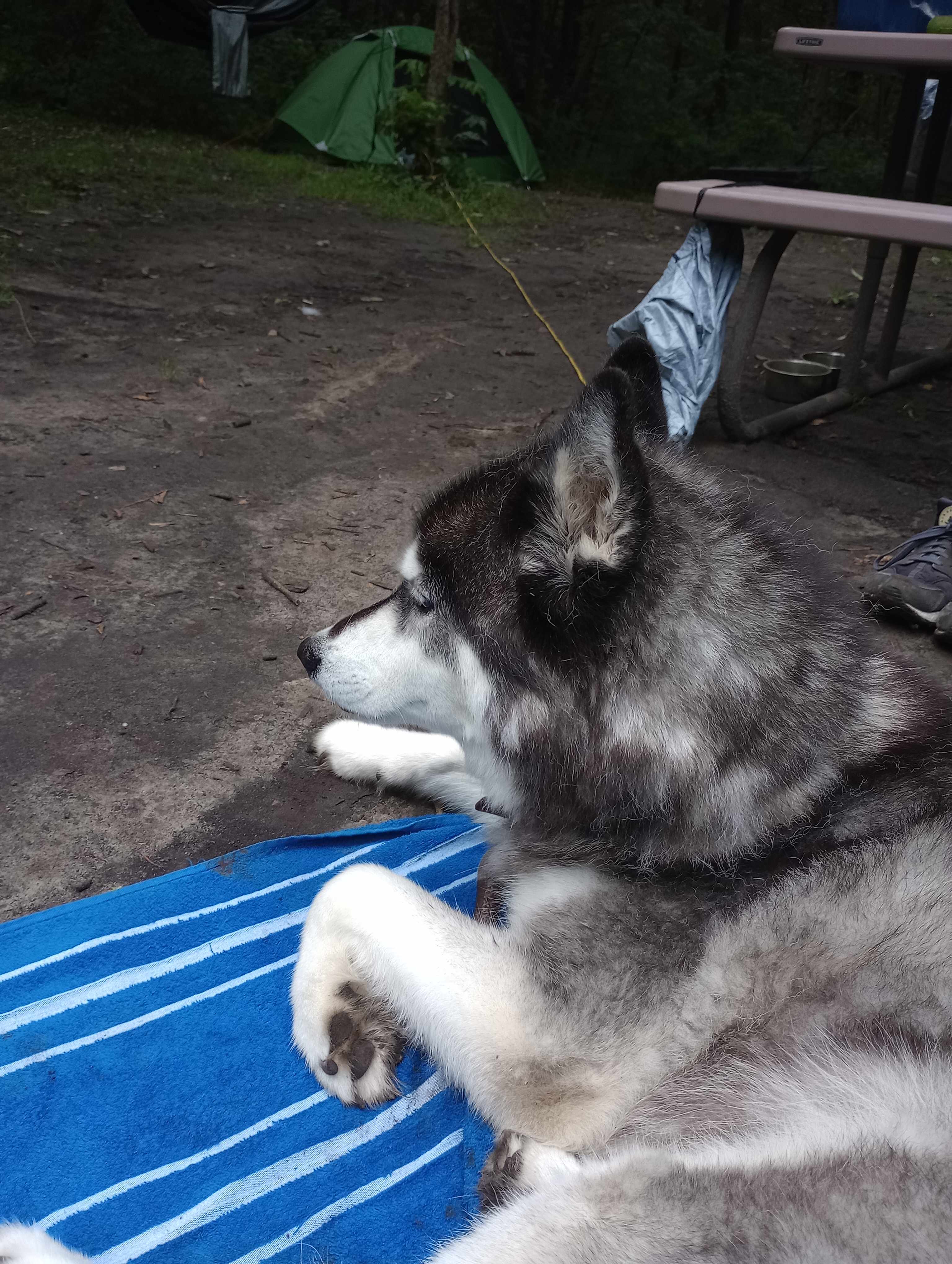 Laiken chilling out