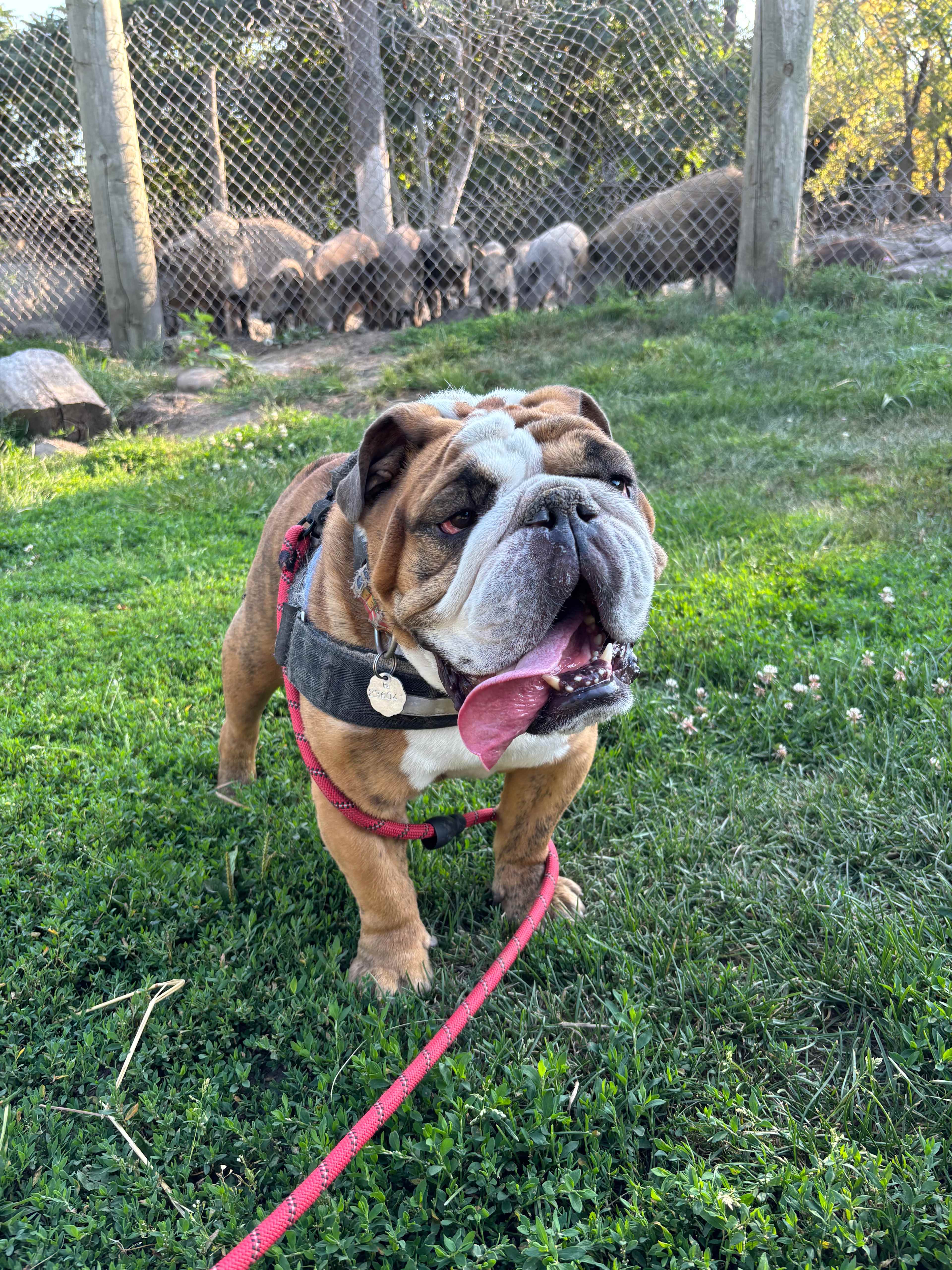 Domaine de la Templerie