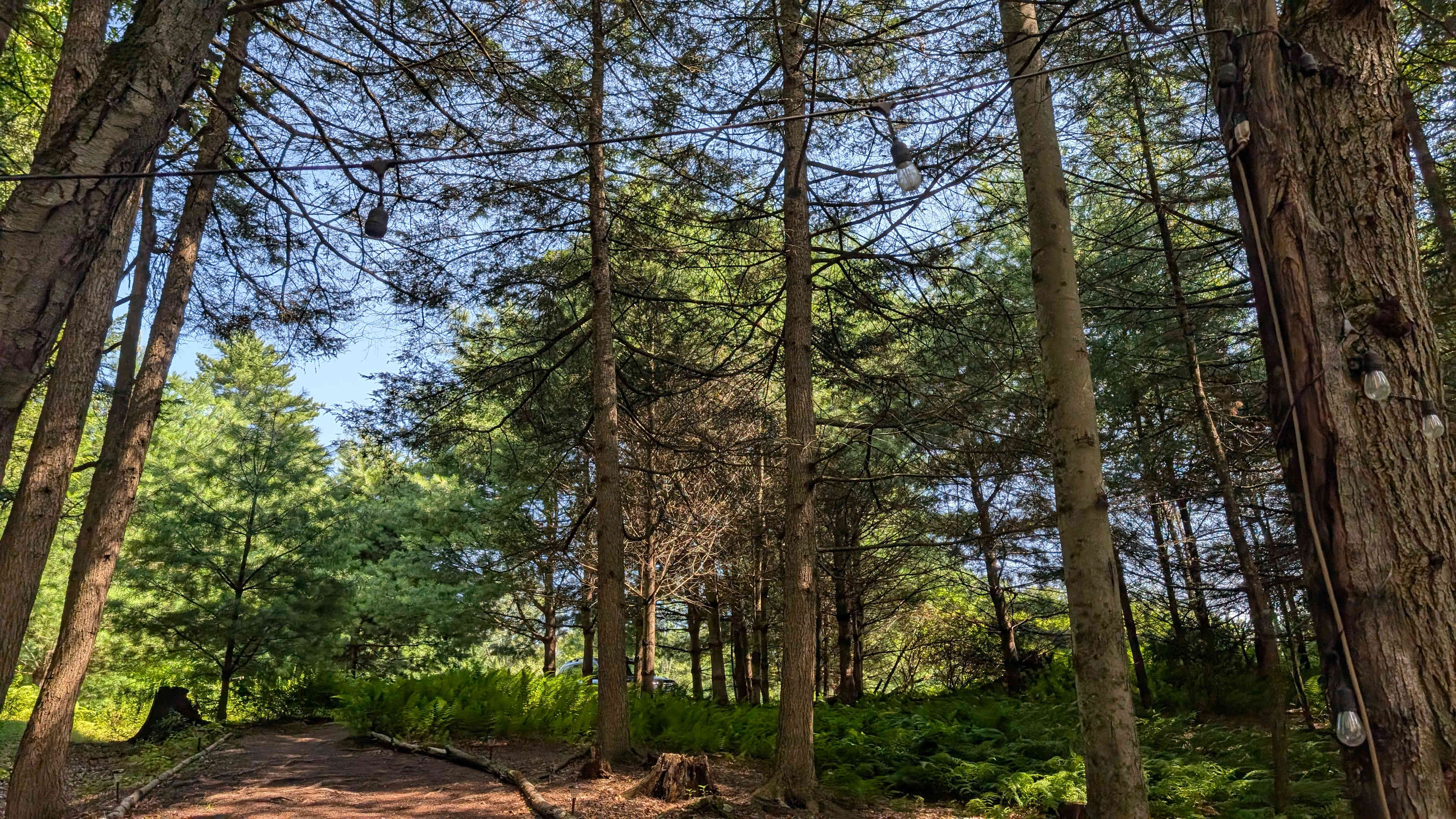 Private Catskill Glamping Retreat