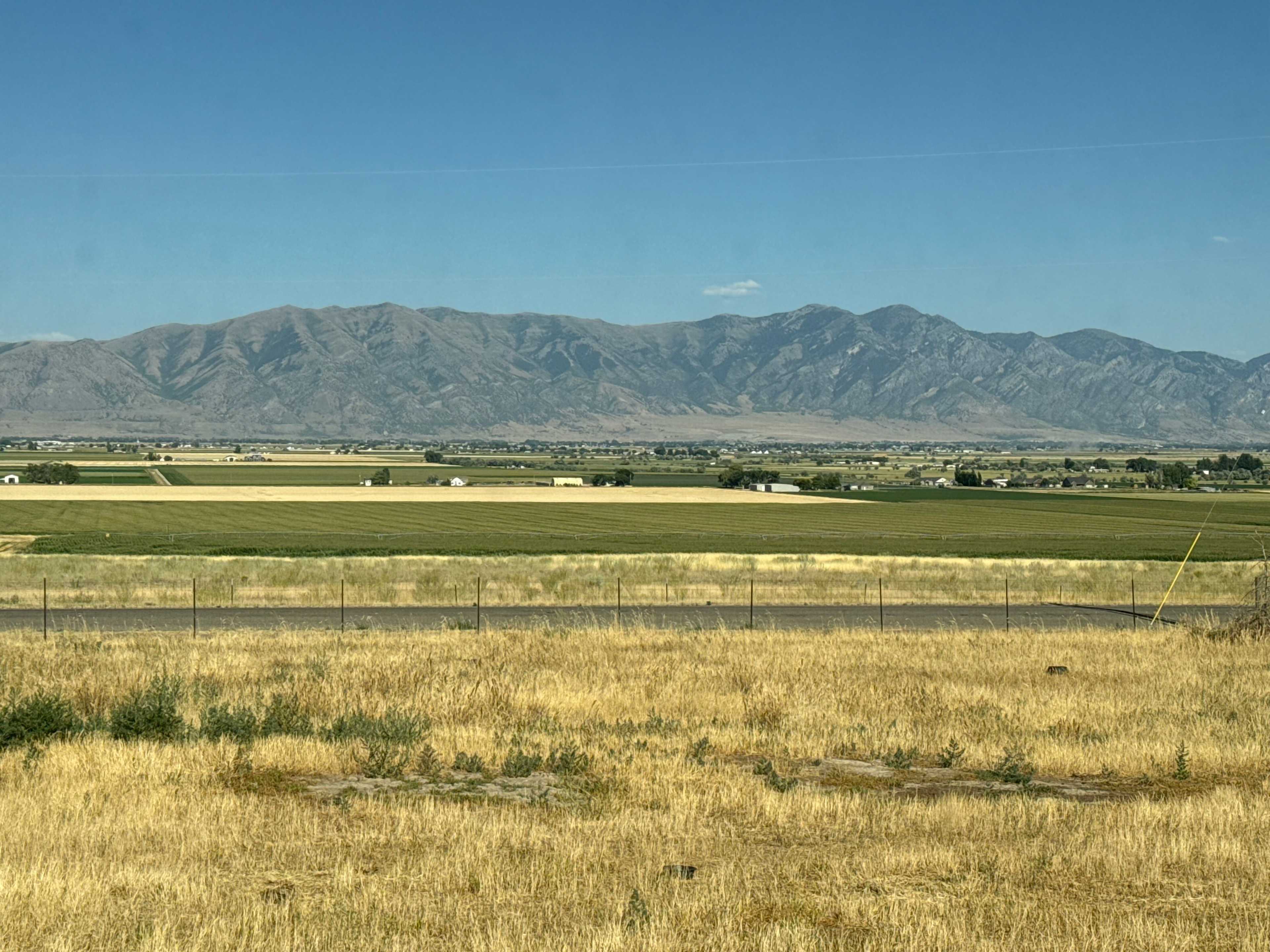 Meadowlark