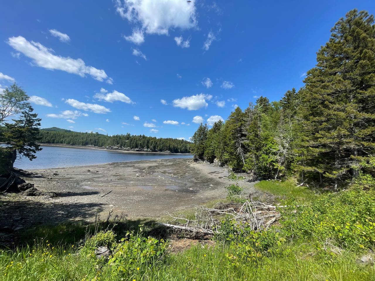 Mouth of the Magaguadavic Camping