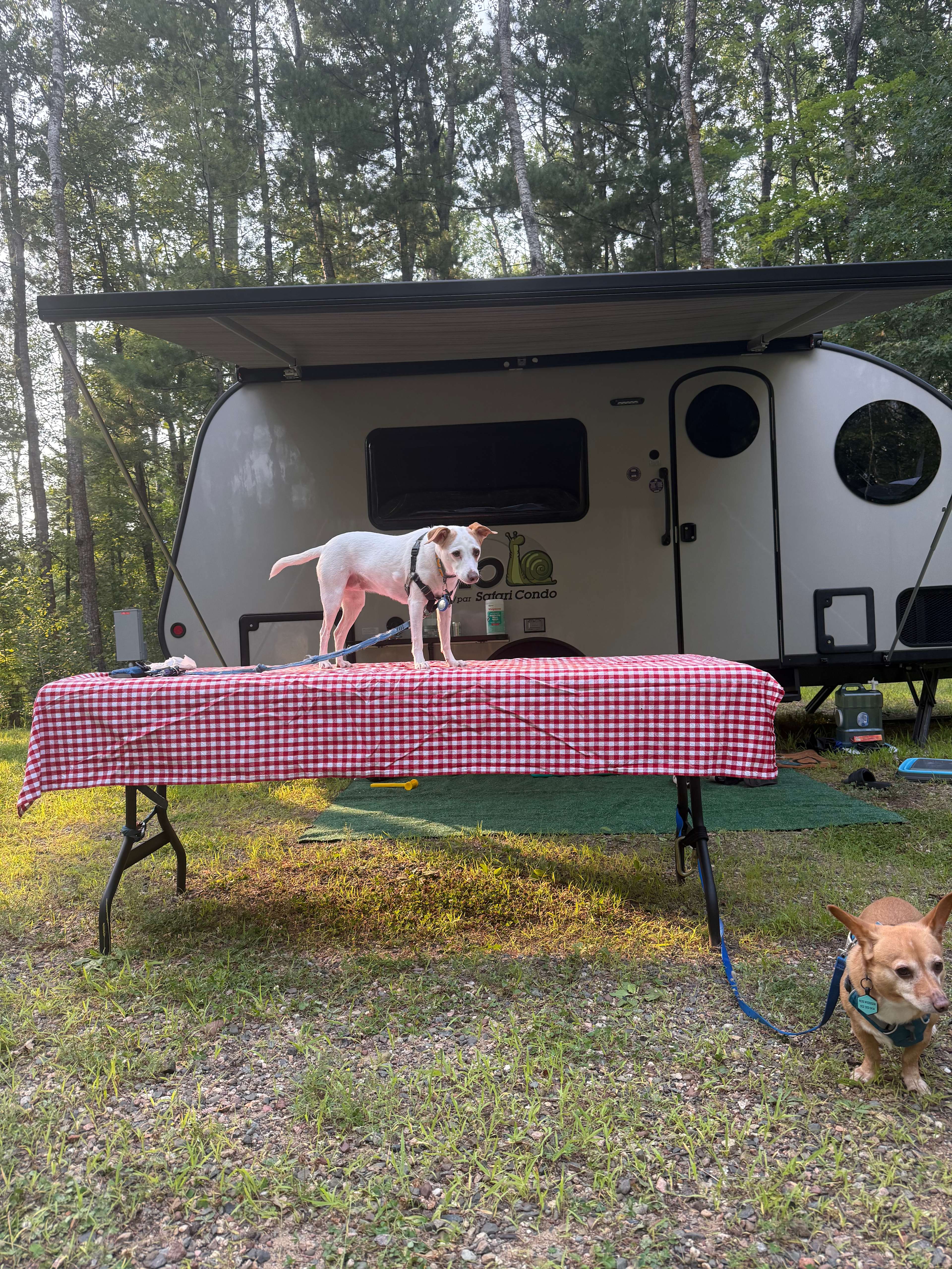 Dirt Haven GlamCamp