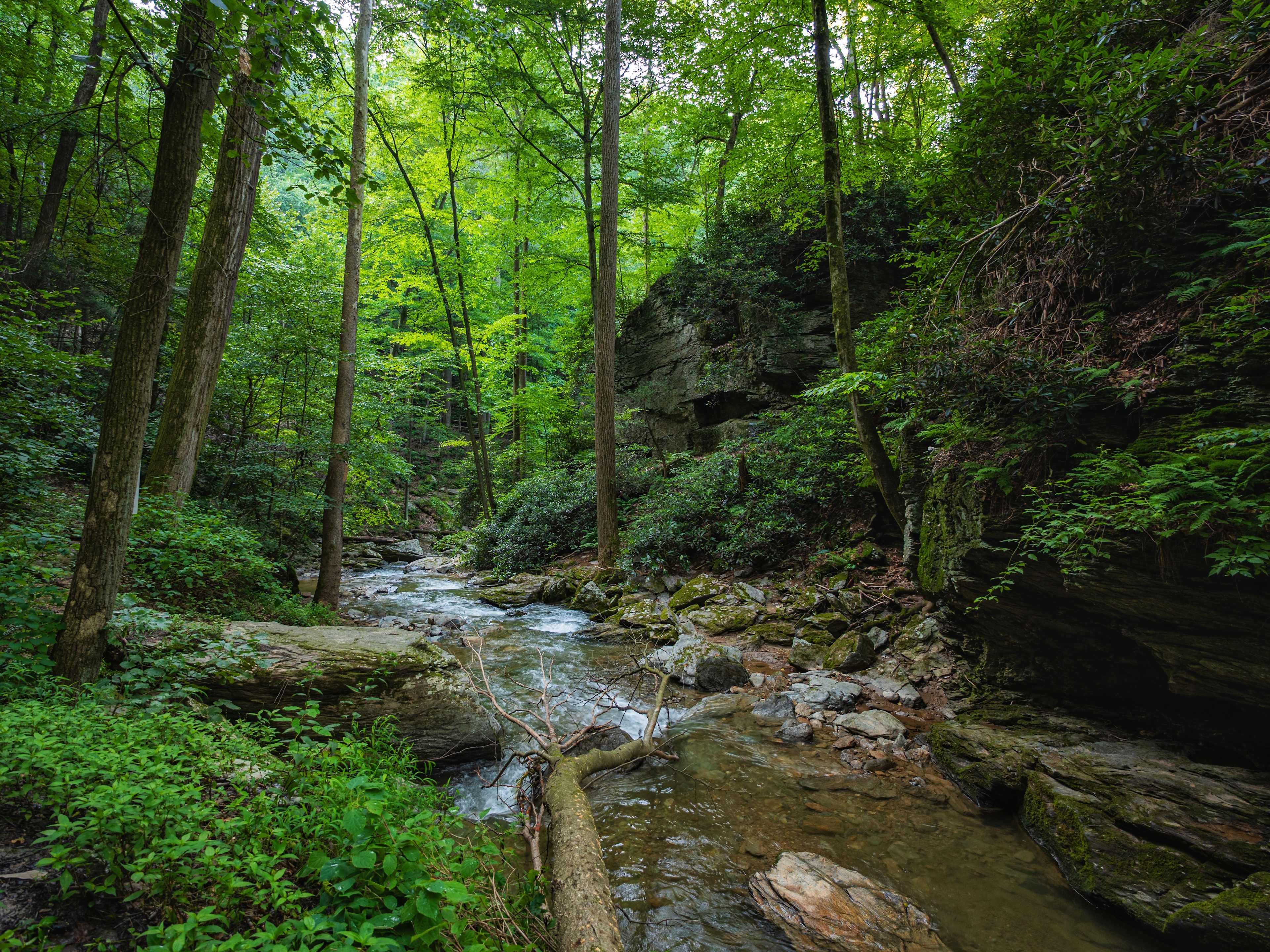 Tucquan Glen 