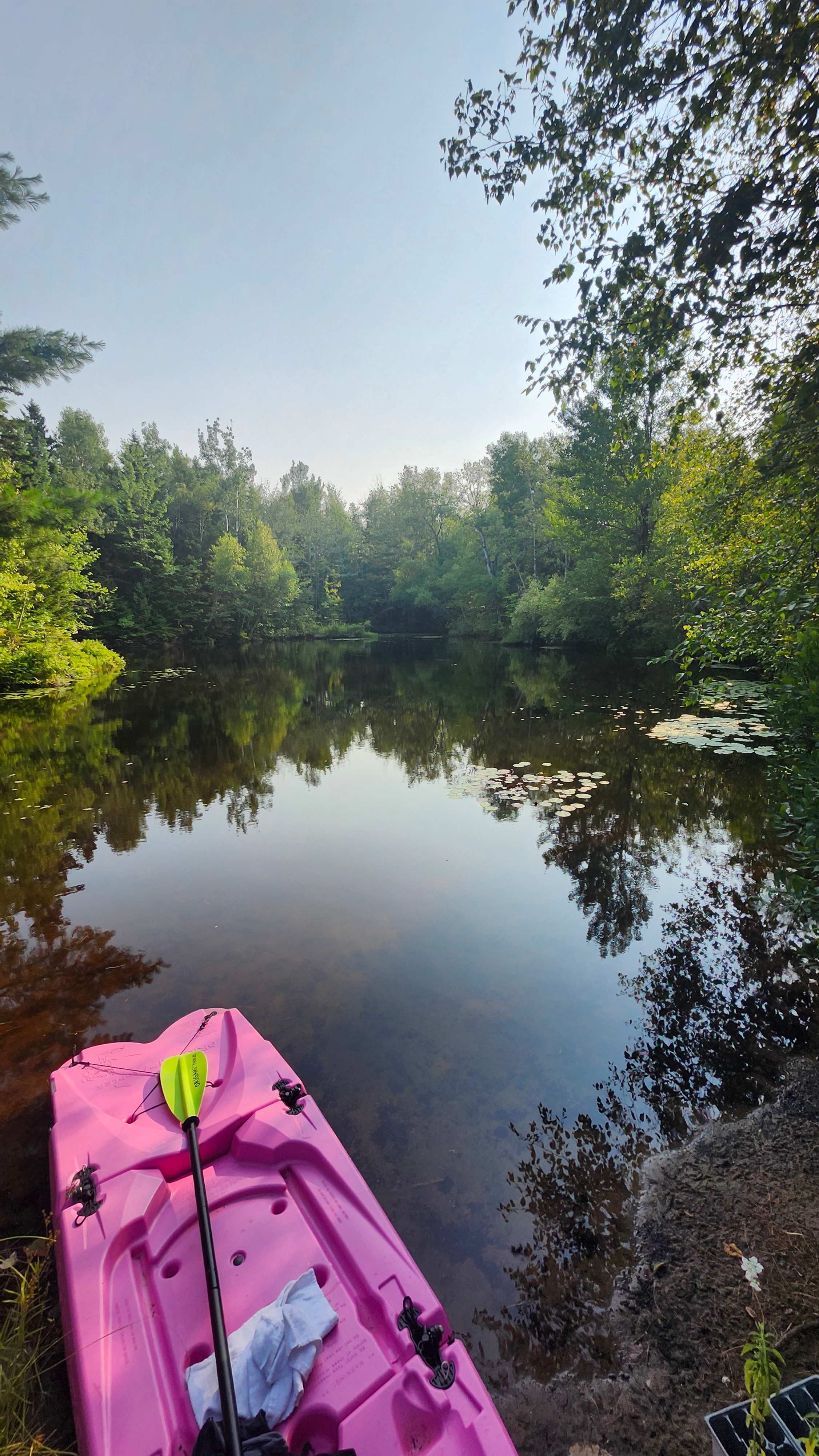 Nature Lake Forest Relax’n Breathe