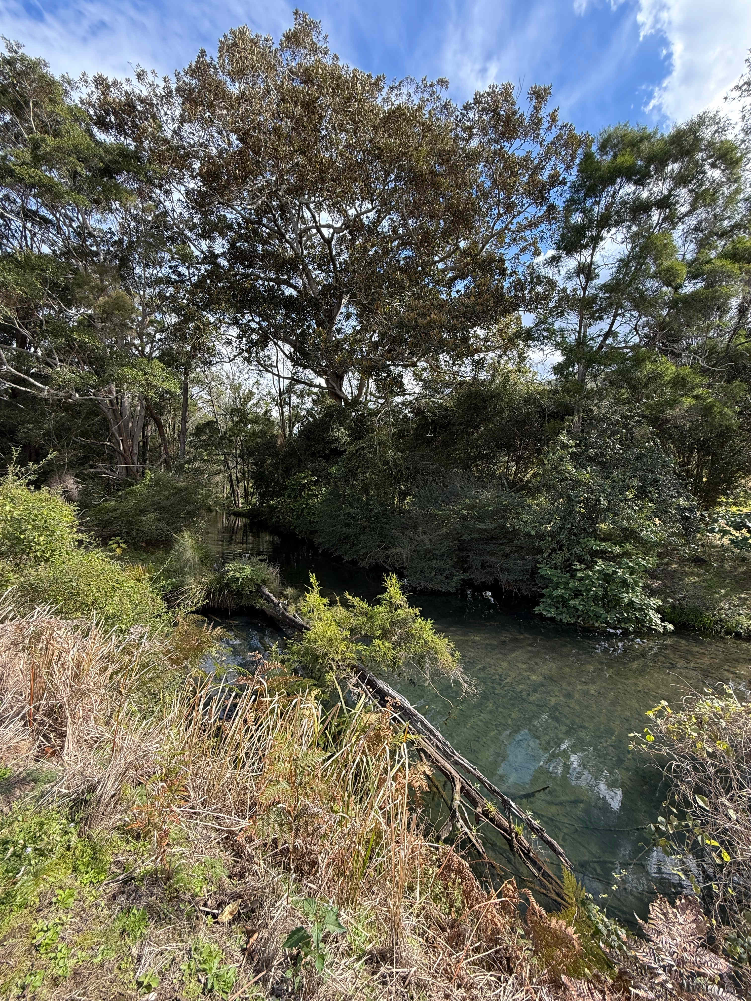 100 Acre Estate