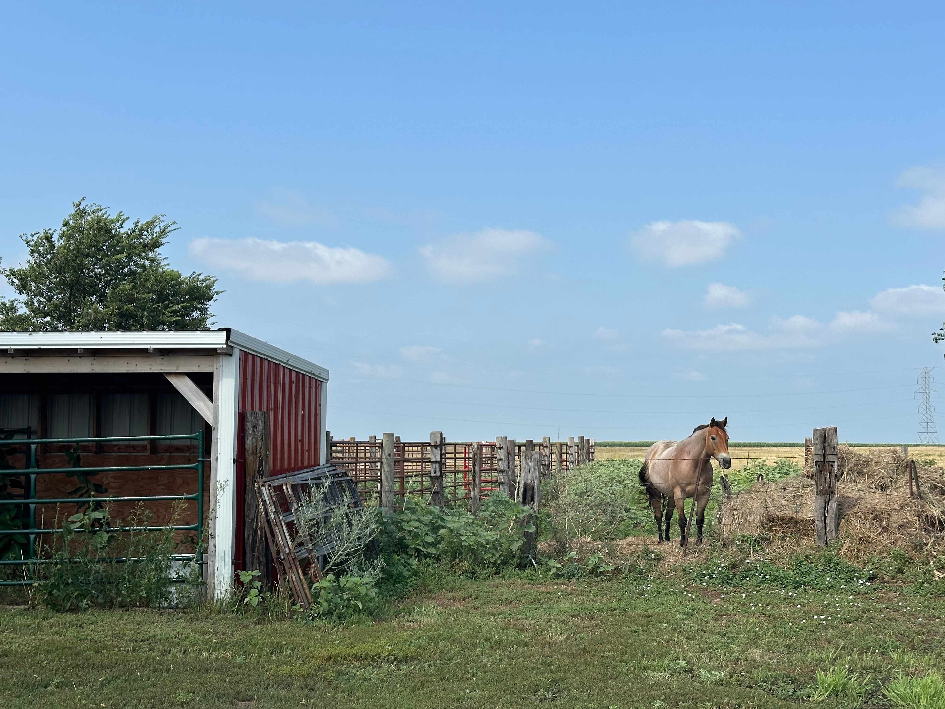 Diamond A Cattle Ranch