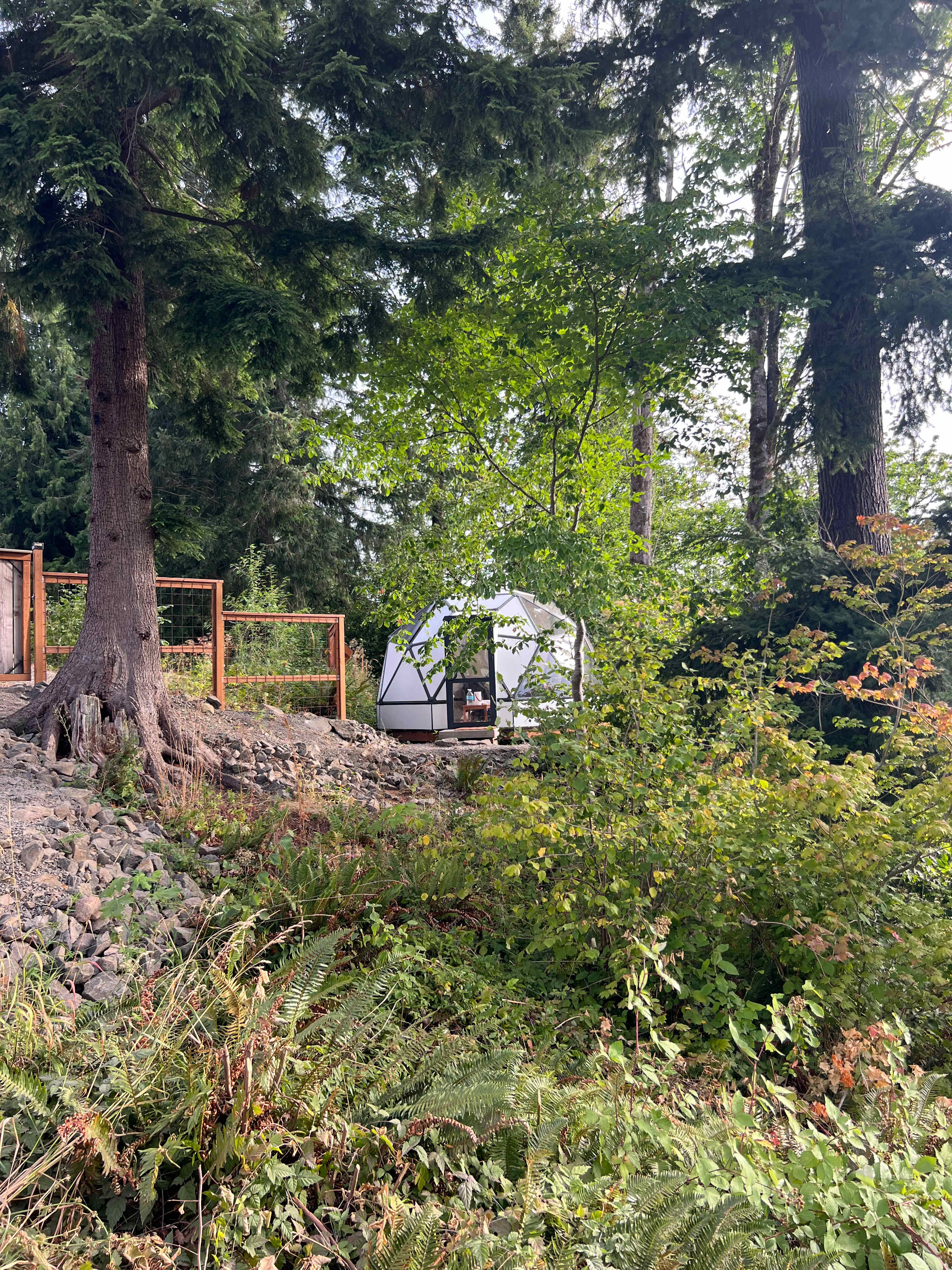 The Lookout at Mayfield Lake