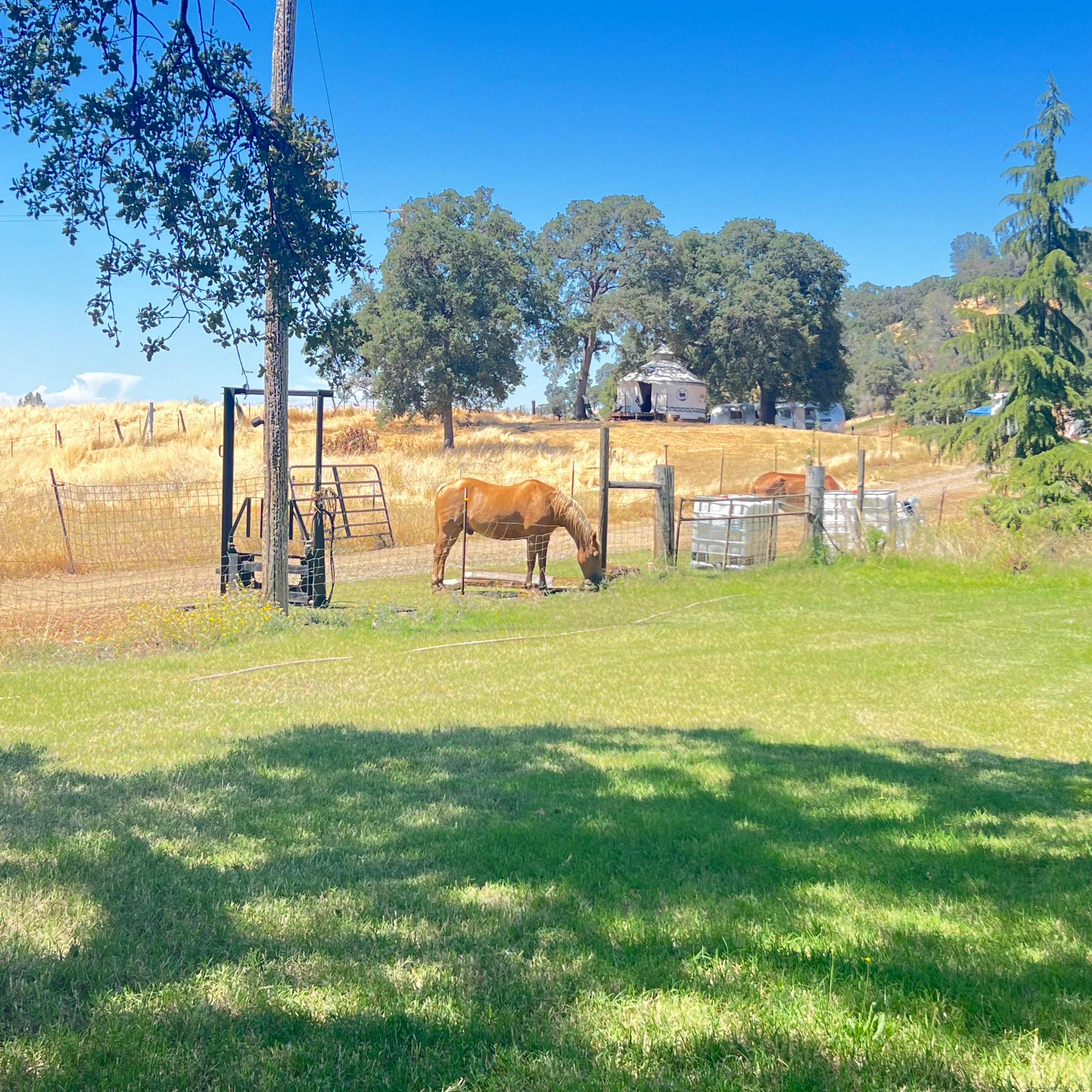 Sacred Valley Ranch Retreat