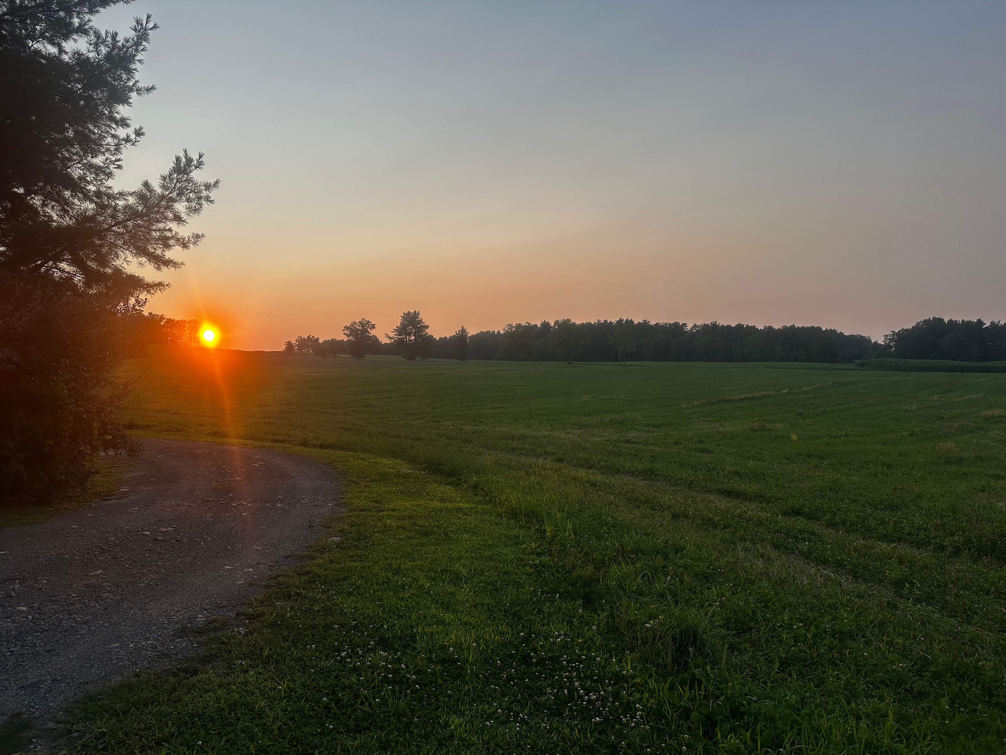 Off Grid cabin near Watkins Glen,NY
