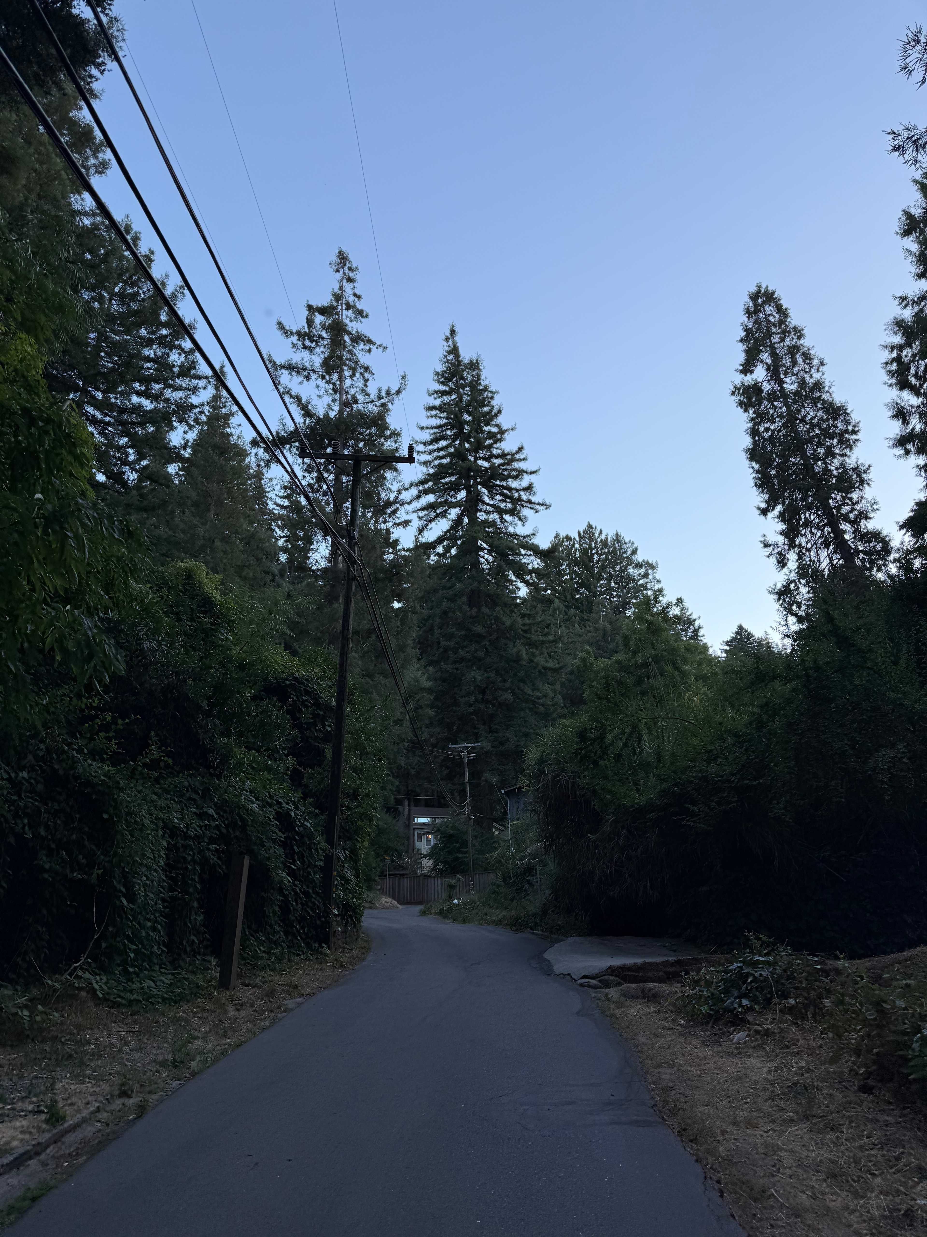 Santa Cruz Mountains Staycation