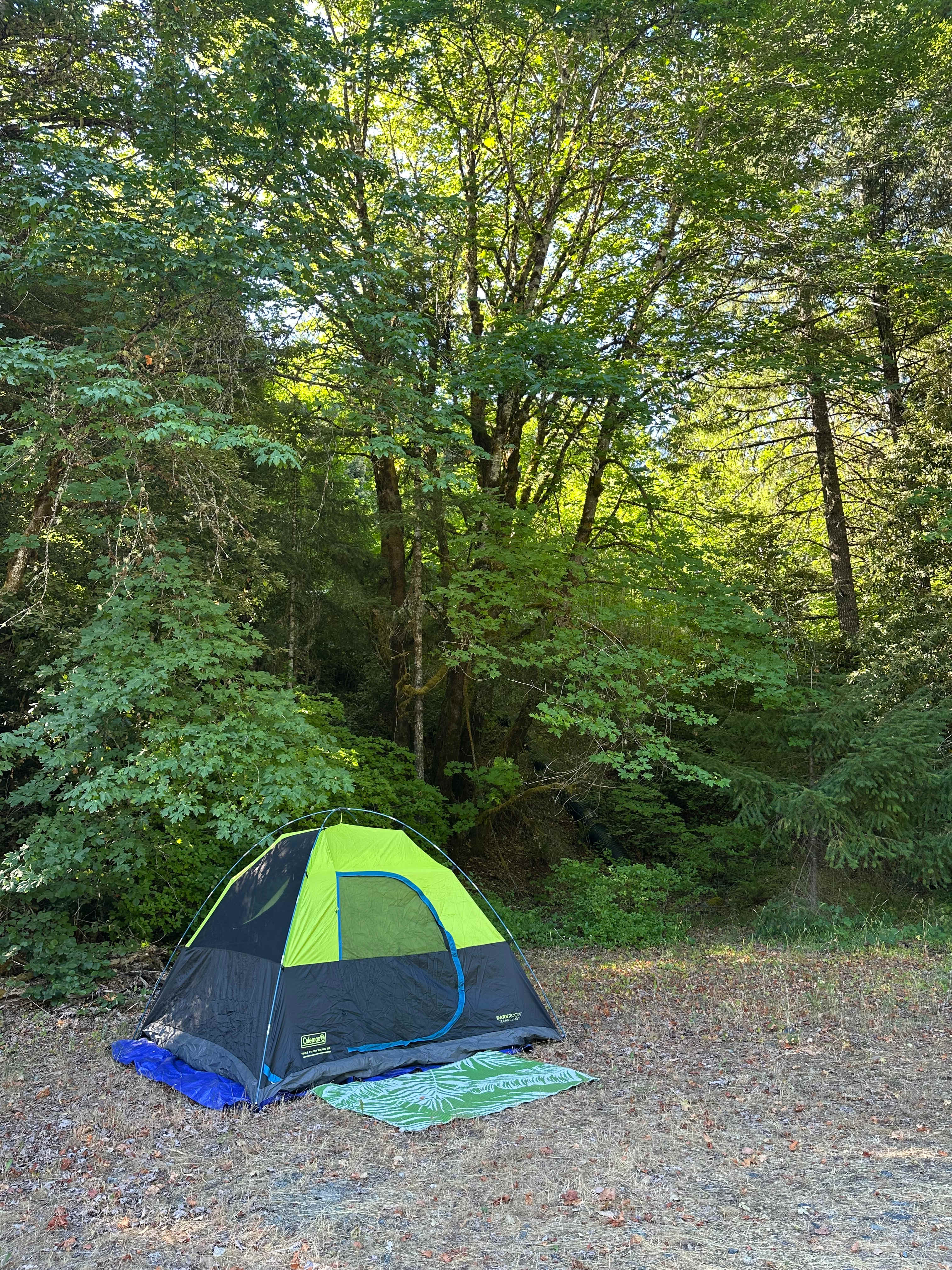 BIGFOOT FLAT on Willow Creek