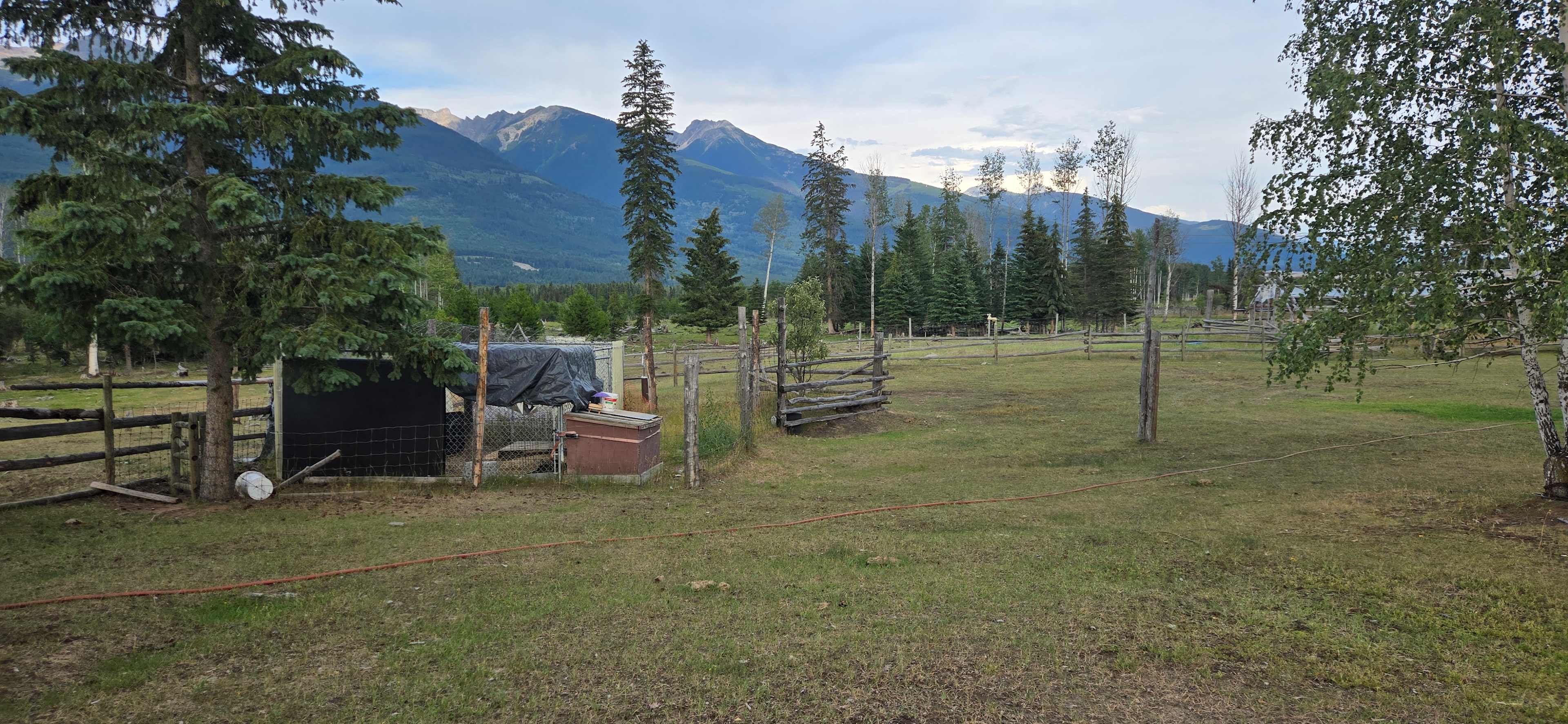 Fuzzy Buddy Ranch