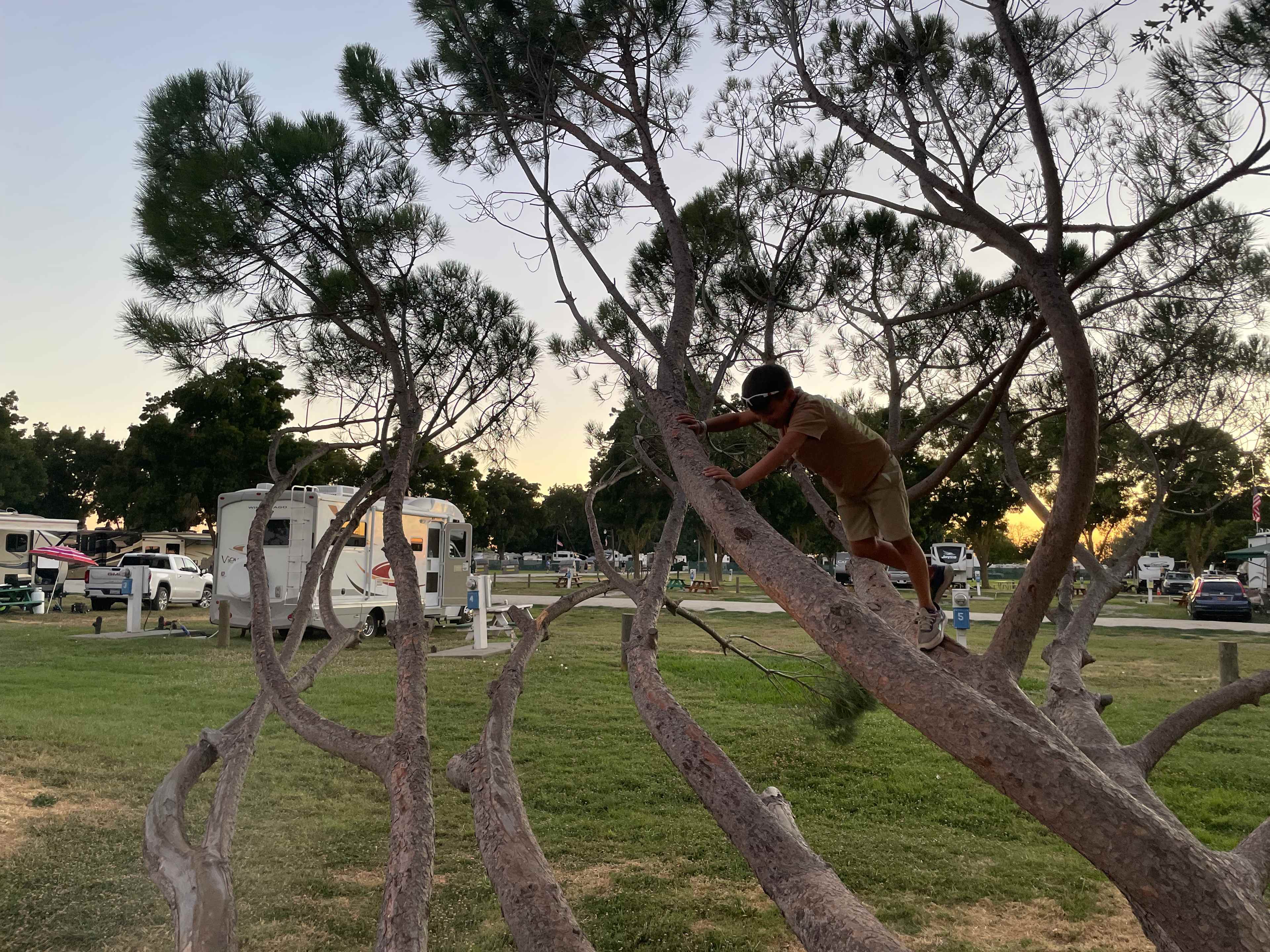 Delta Shores Resort & Marina