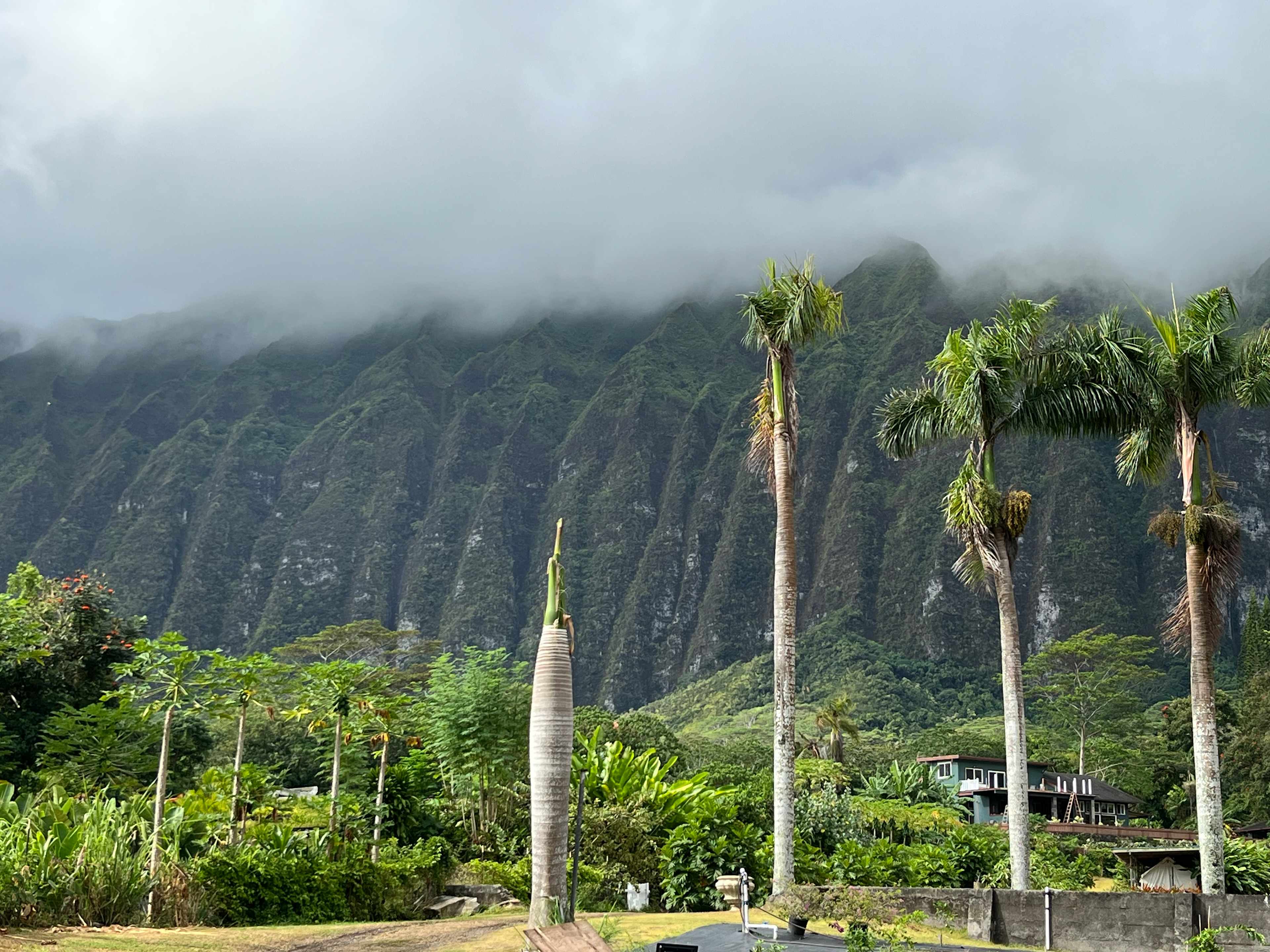 Waimanalo Farmstay