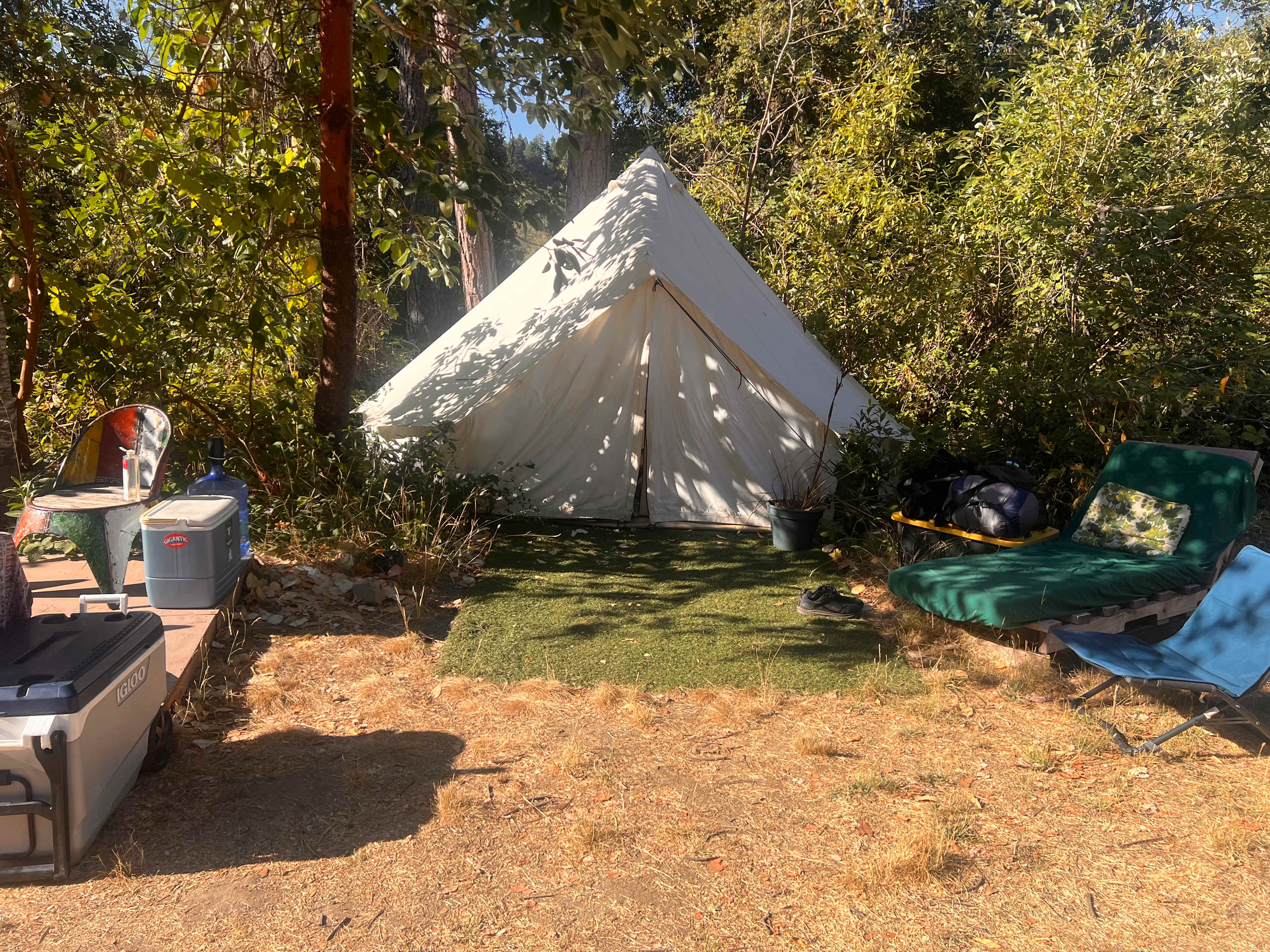 Mystic Forest Campground