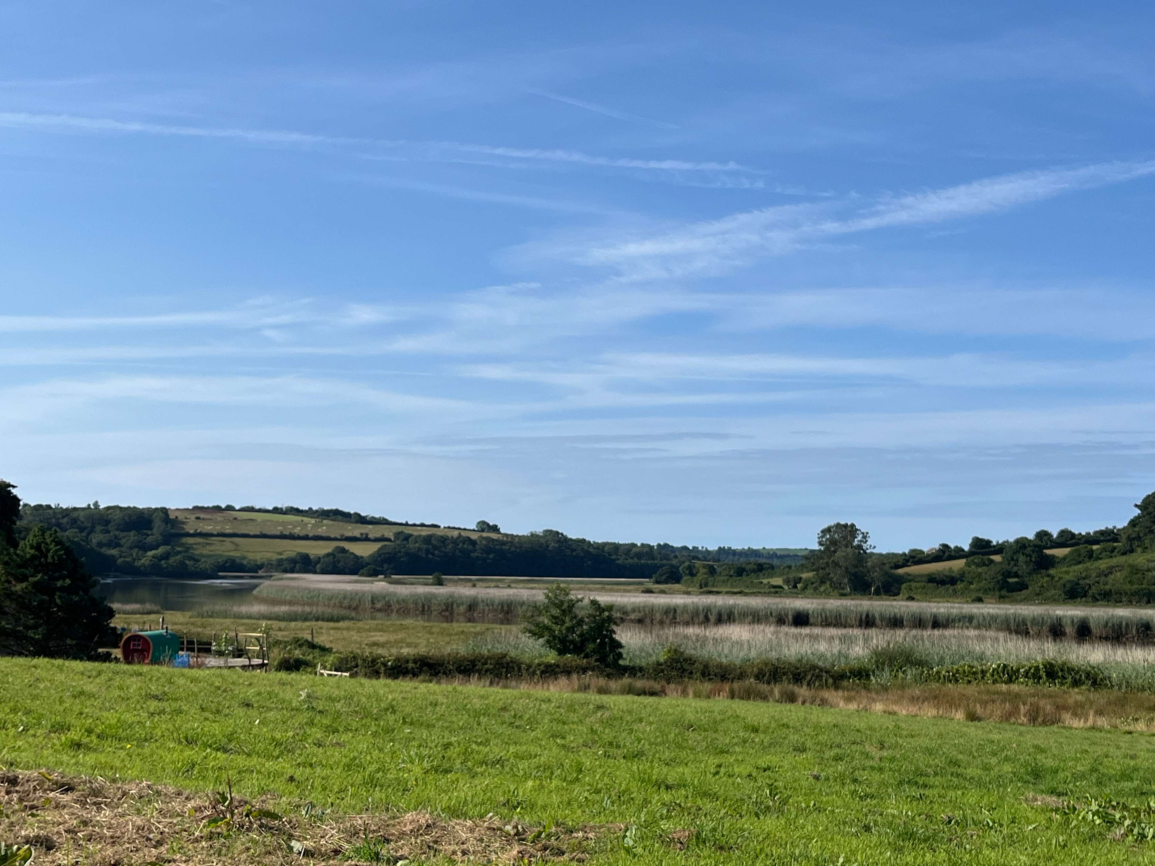 The Enchanted Wilderness