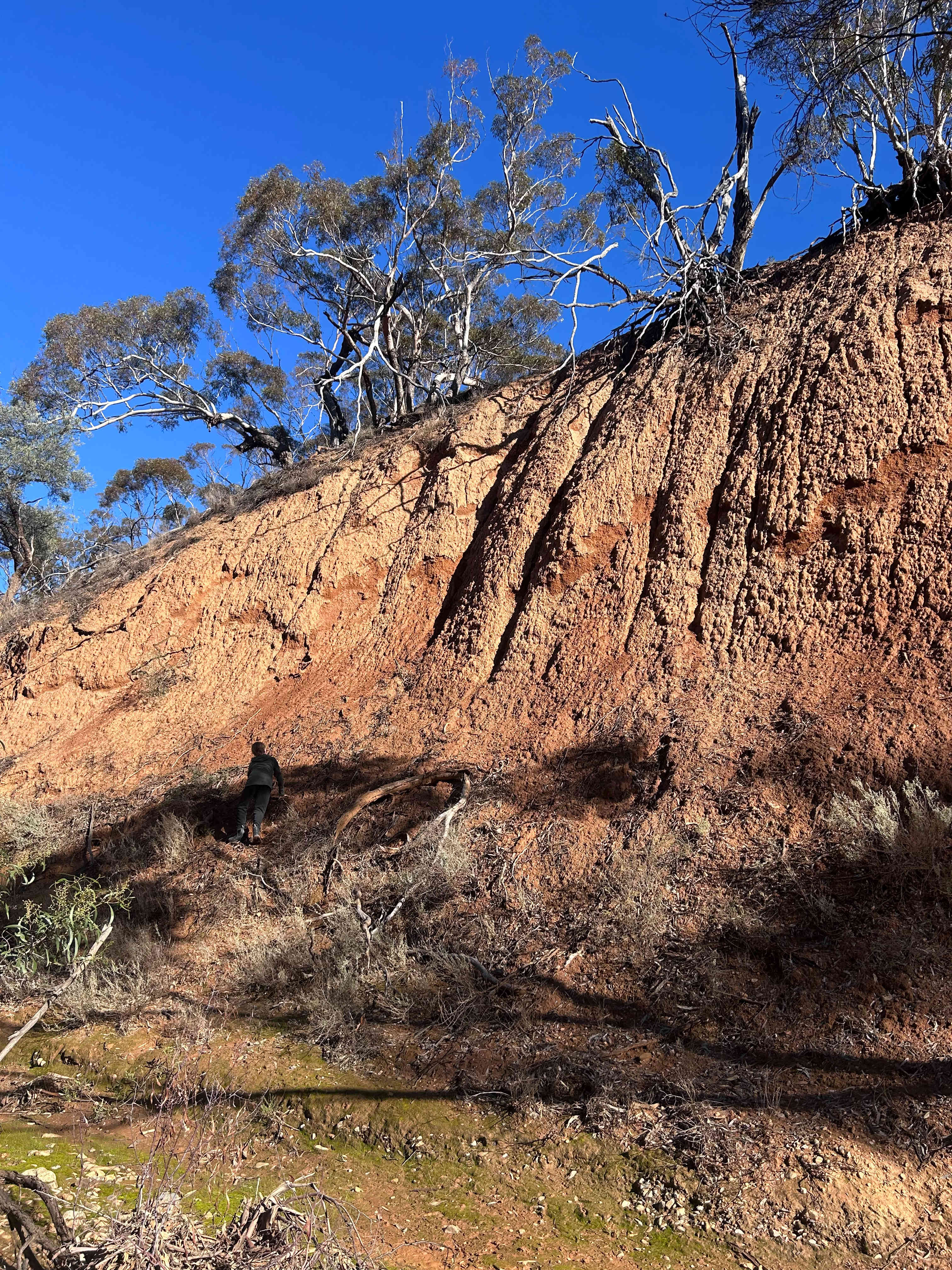 Burra Creek Camping