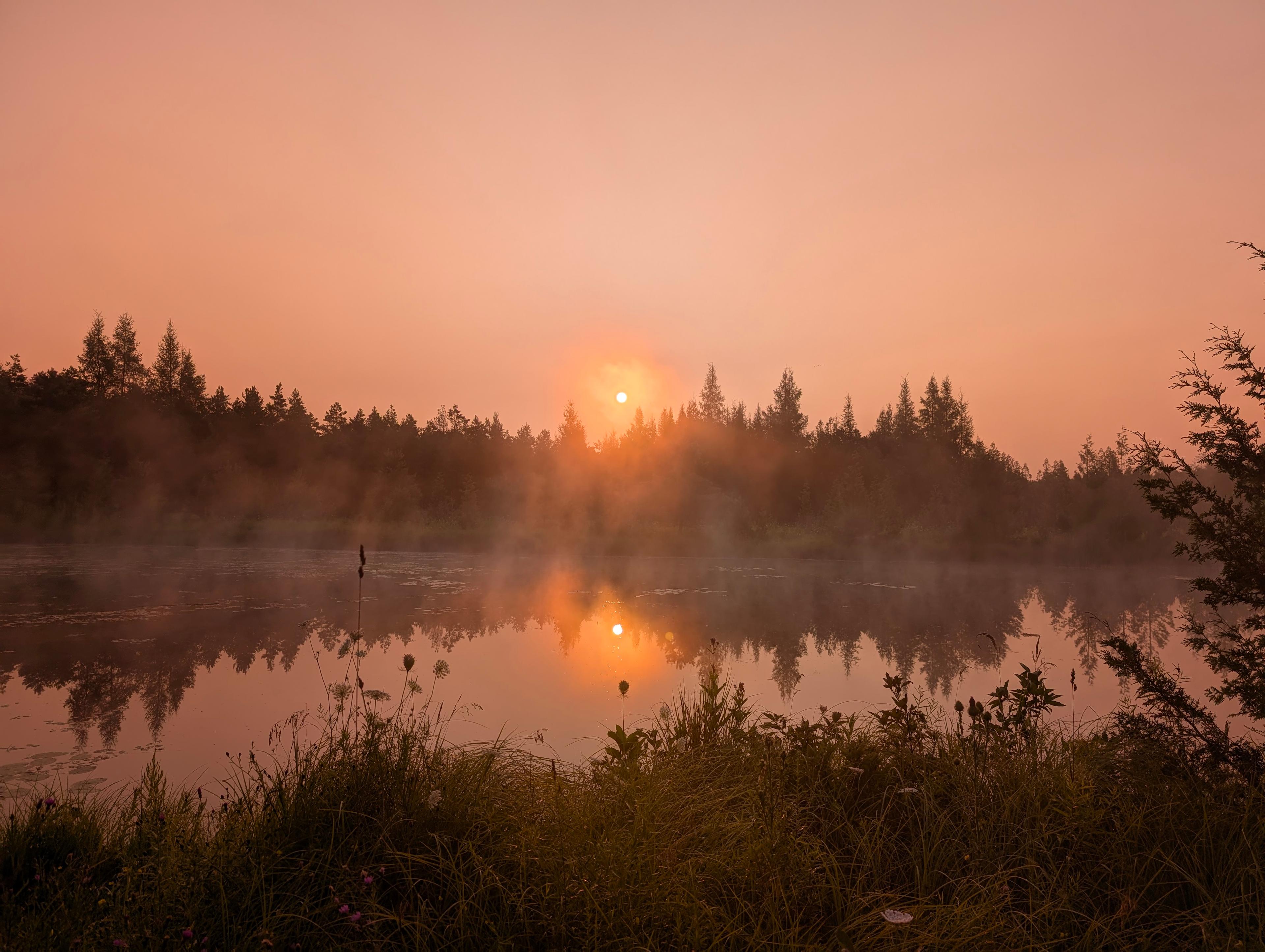Sunrise pond (1 min walk from sunset pond )