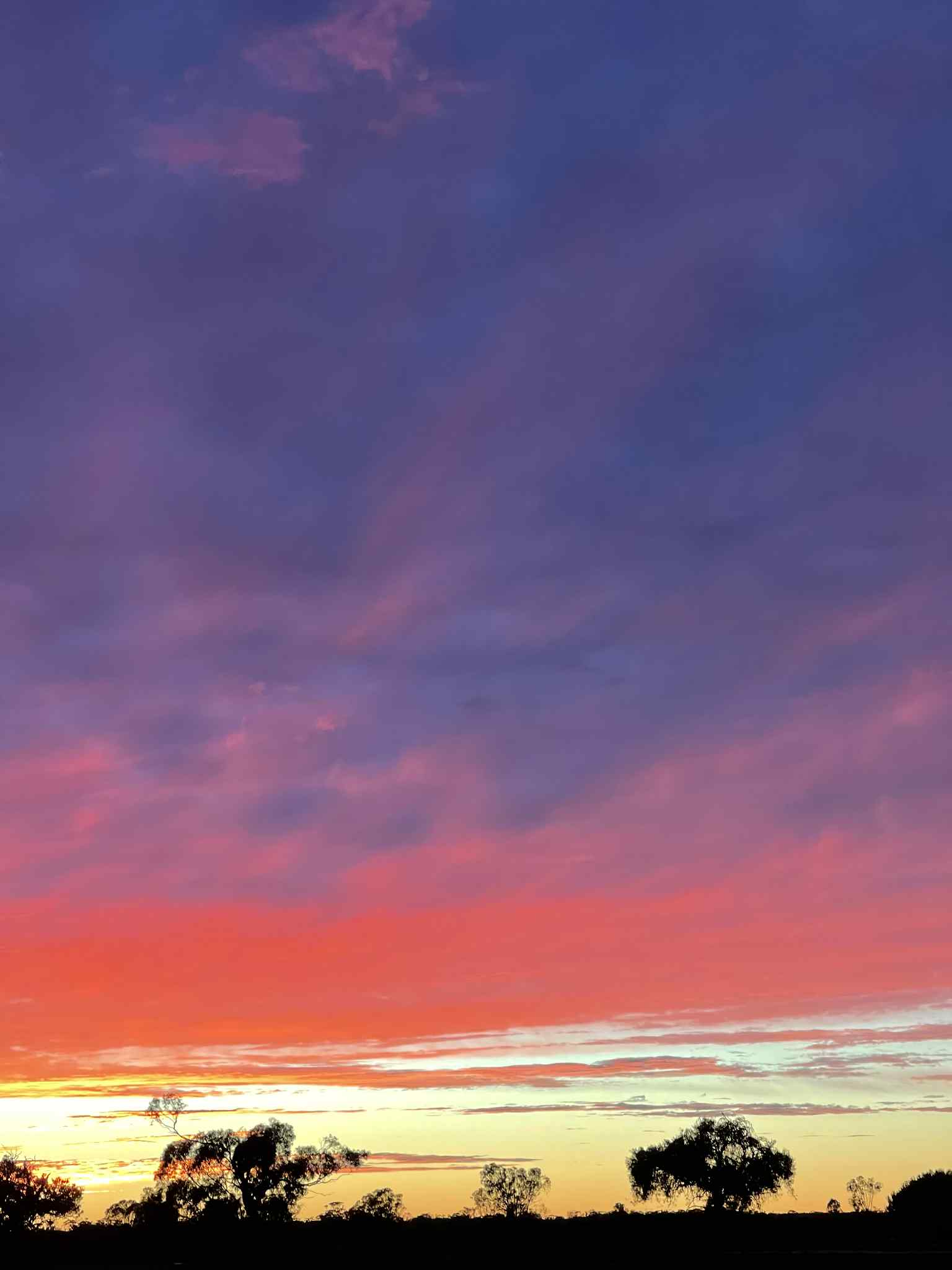 Stockyard Plains, The Riverland