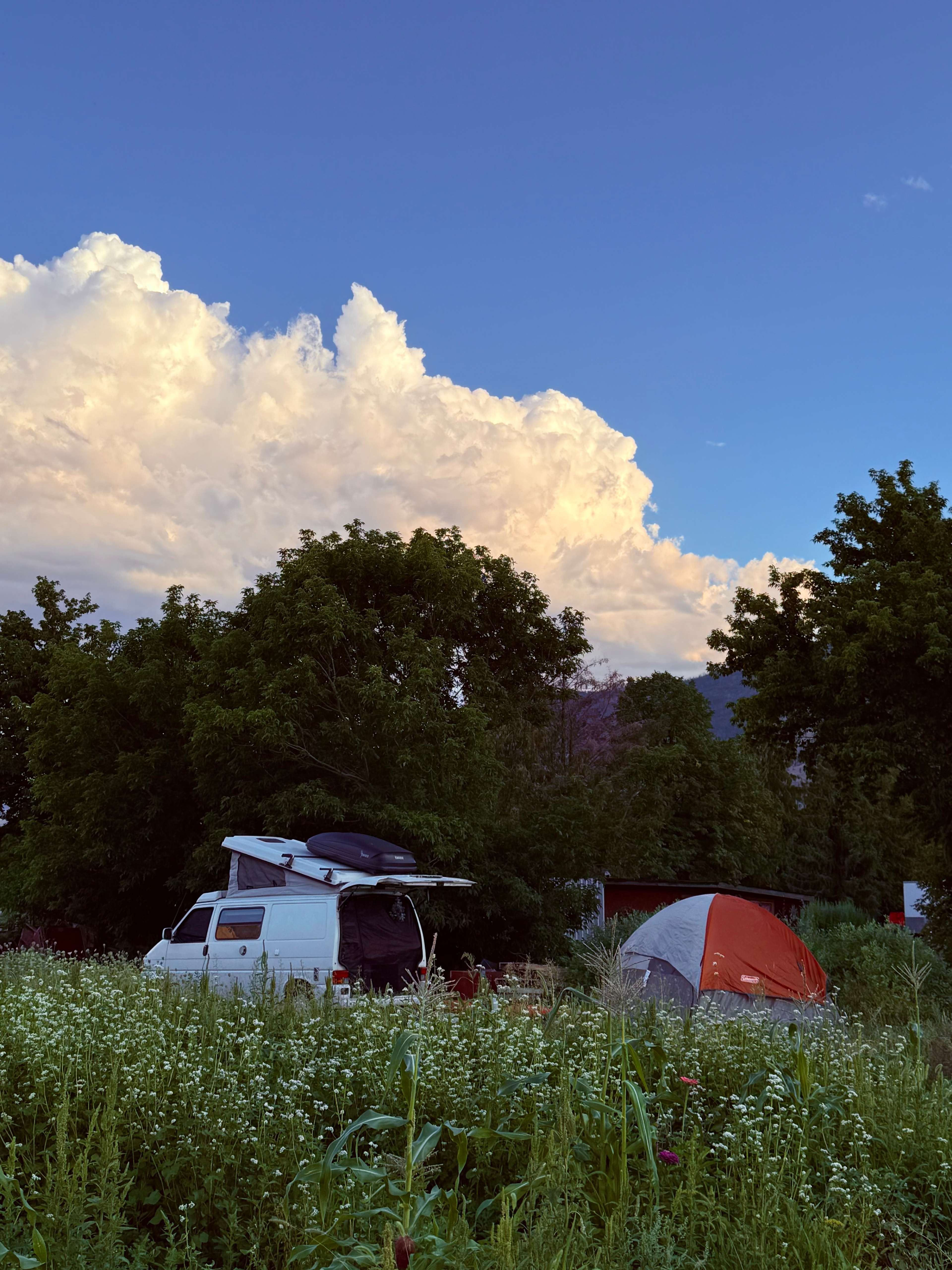 Fruit Haven, Cawston BC