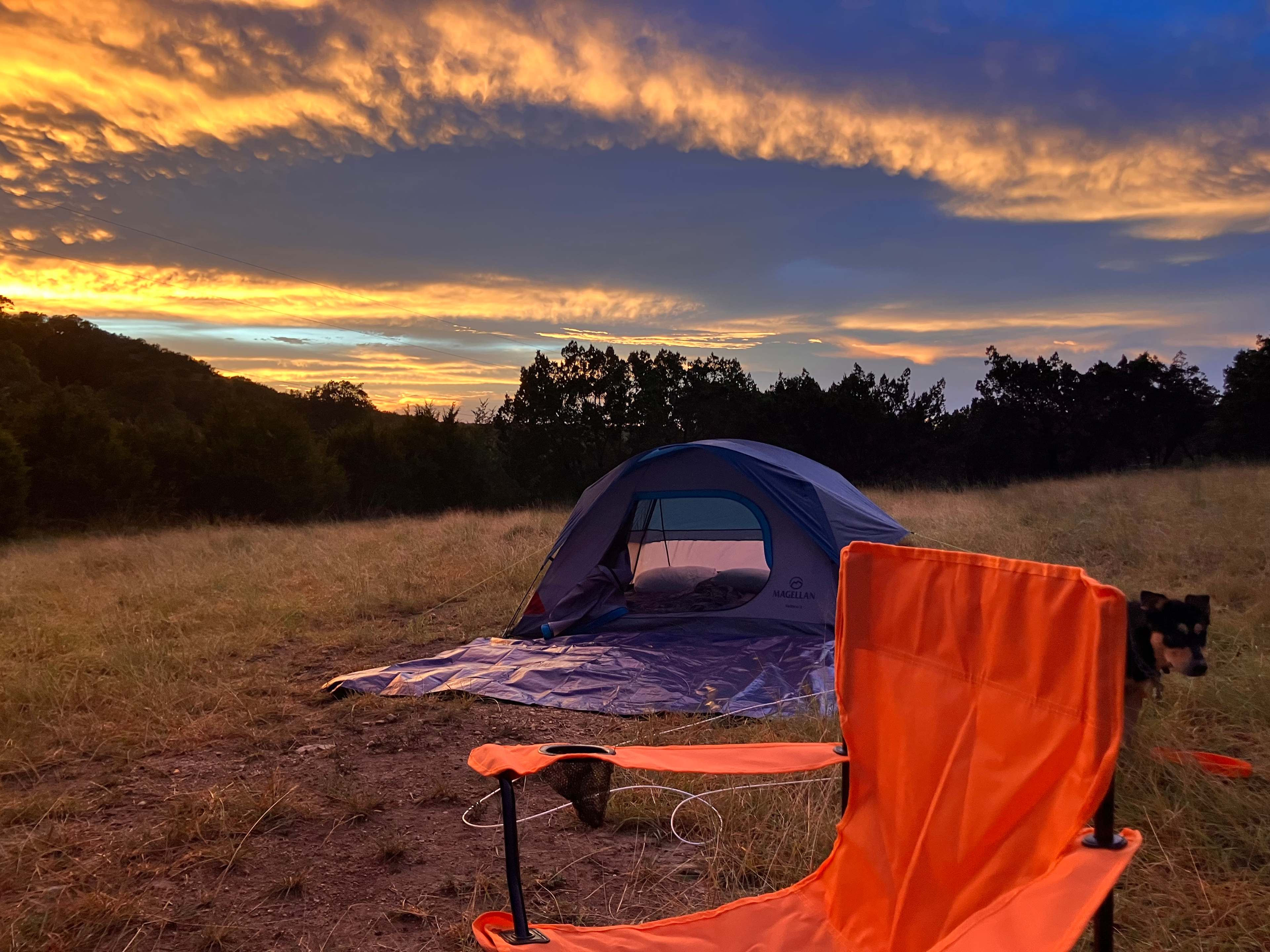 The Charmadillo: Glamping Resort