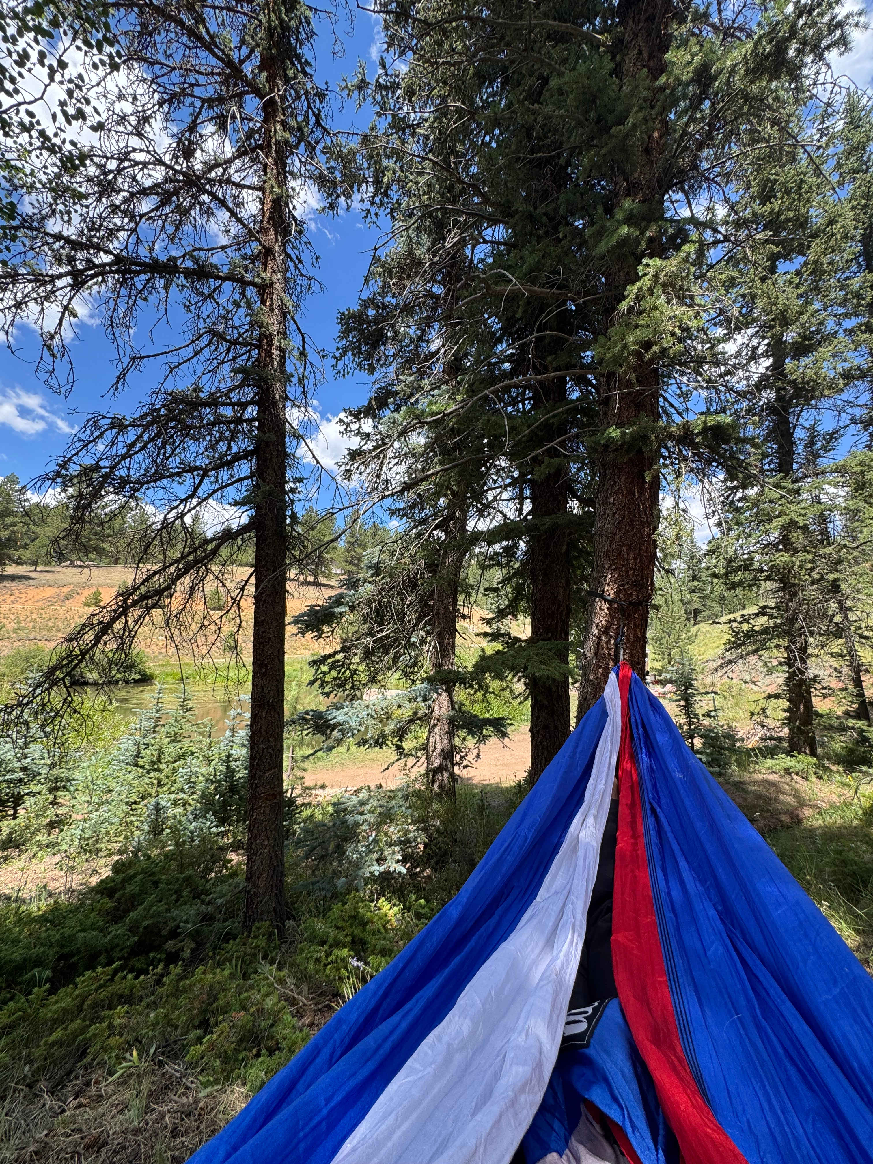 Hammock in the nearby woods