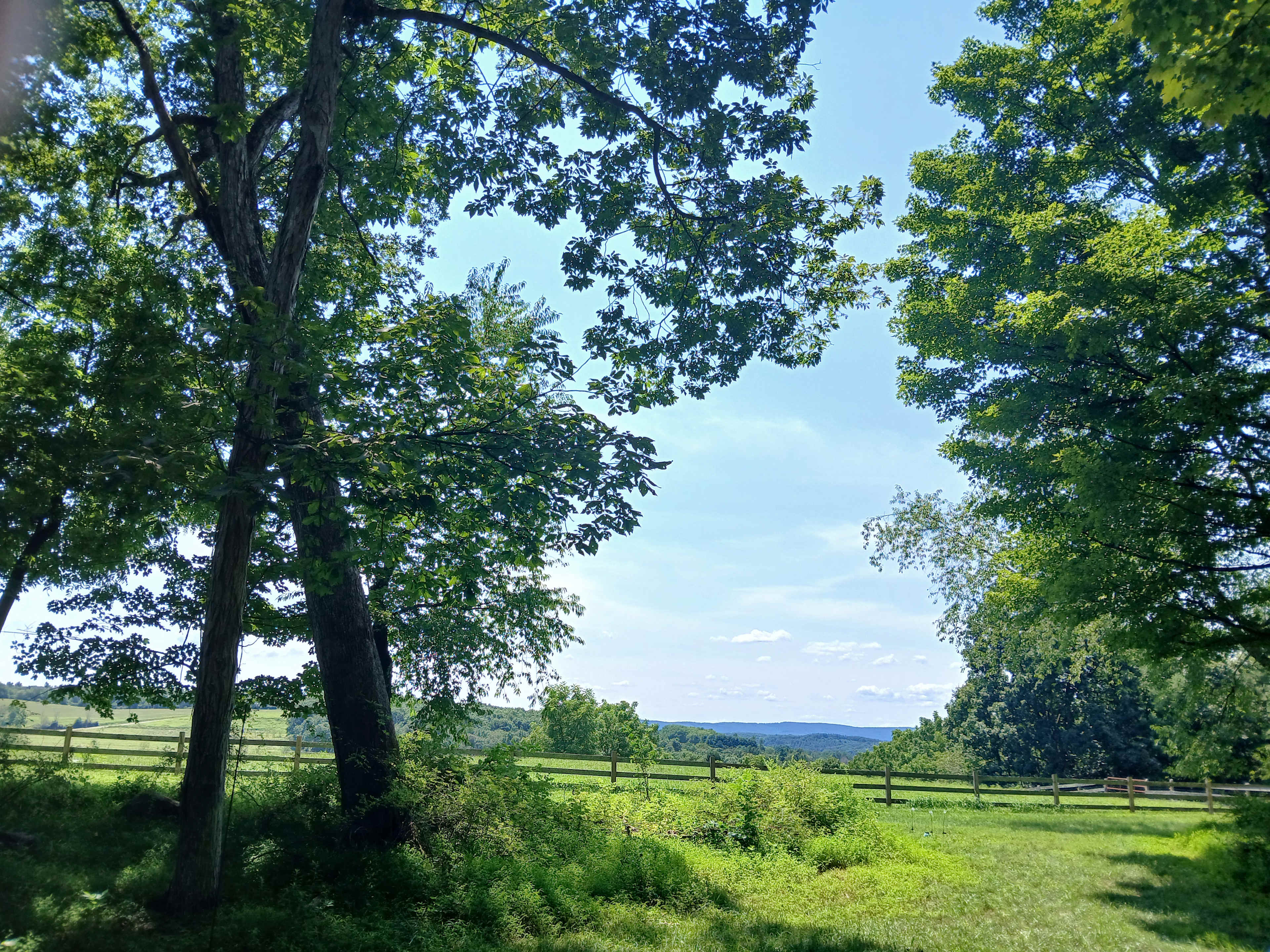 Fairie Tale Farm