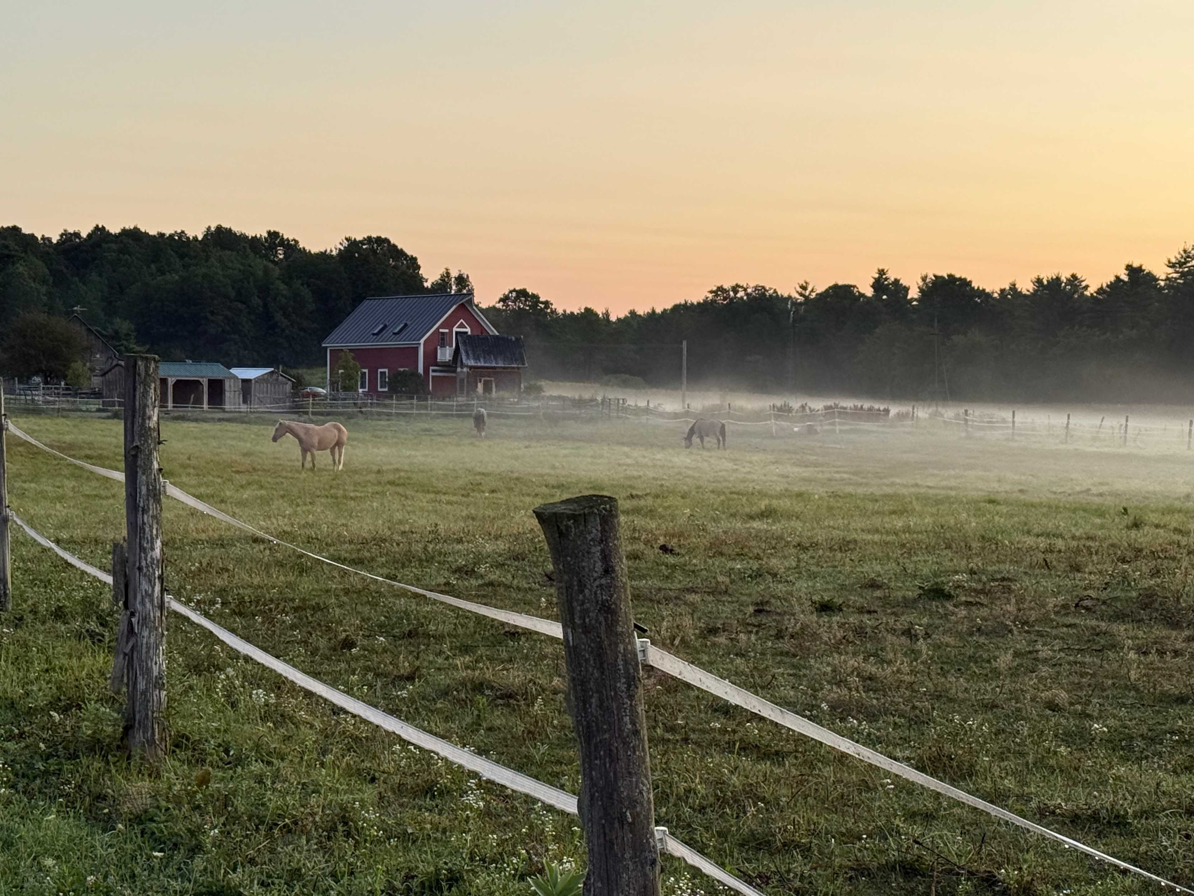 Peaceful Country Haven