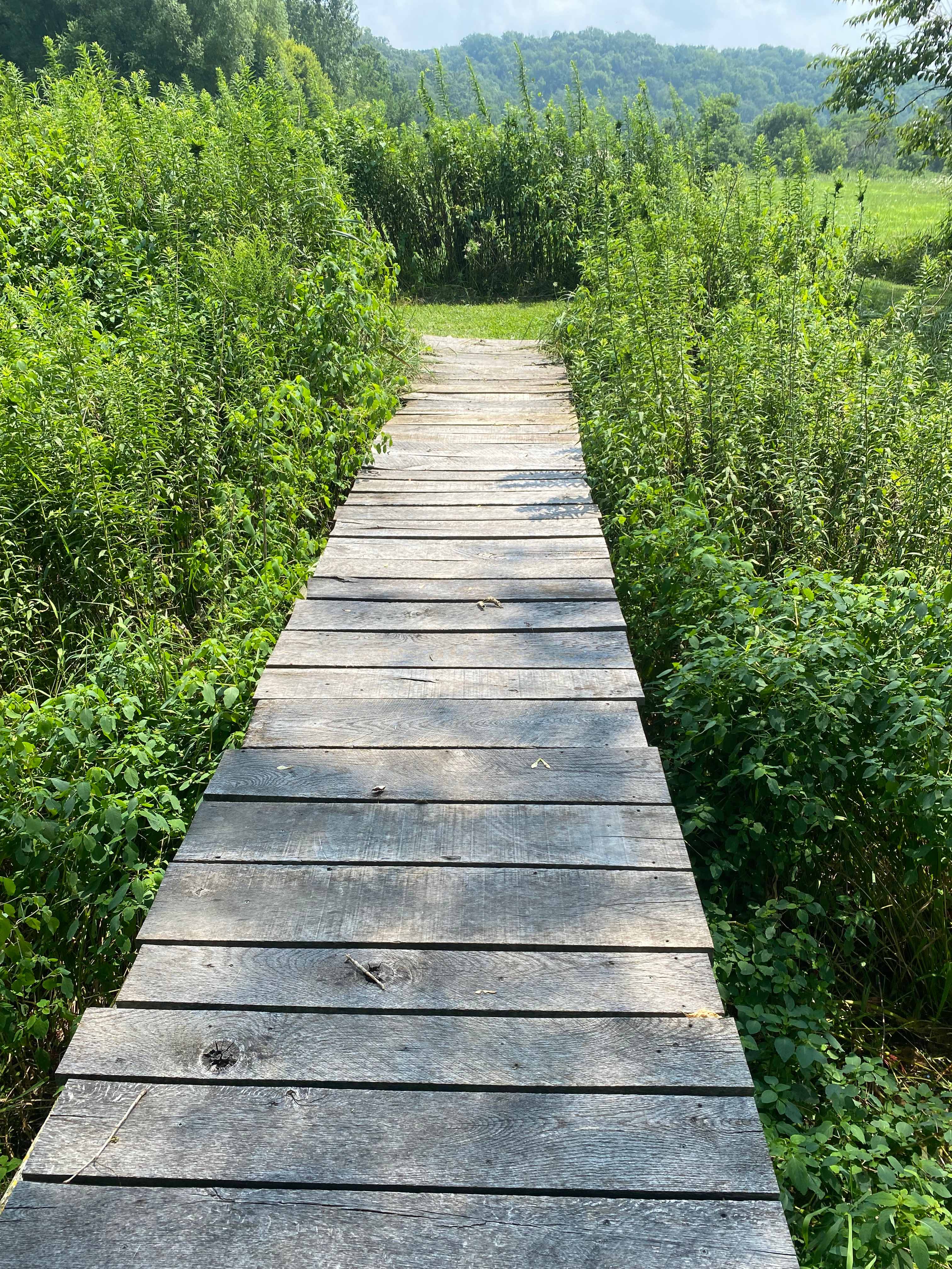 Wood bridge you walk over to go toward the woods. 