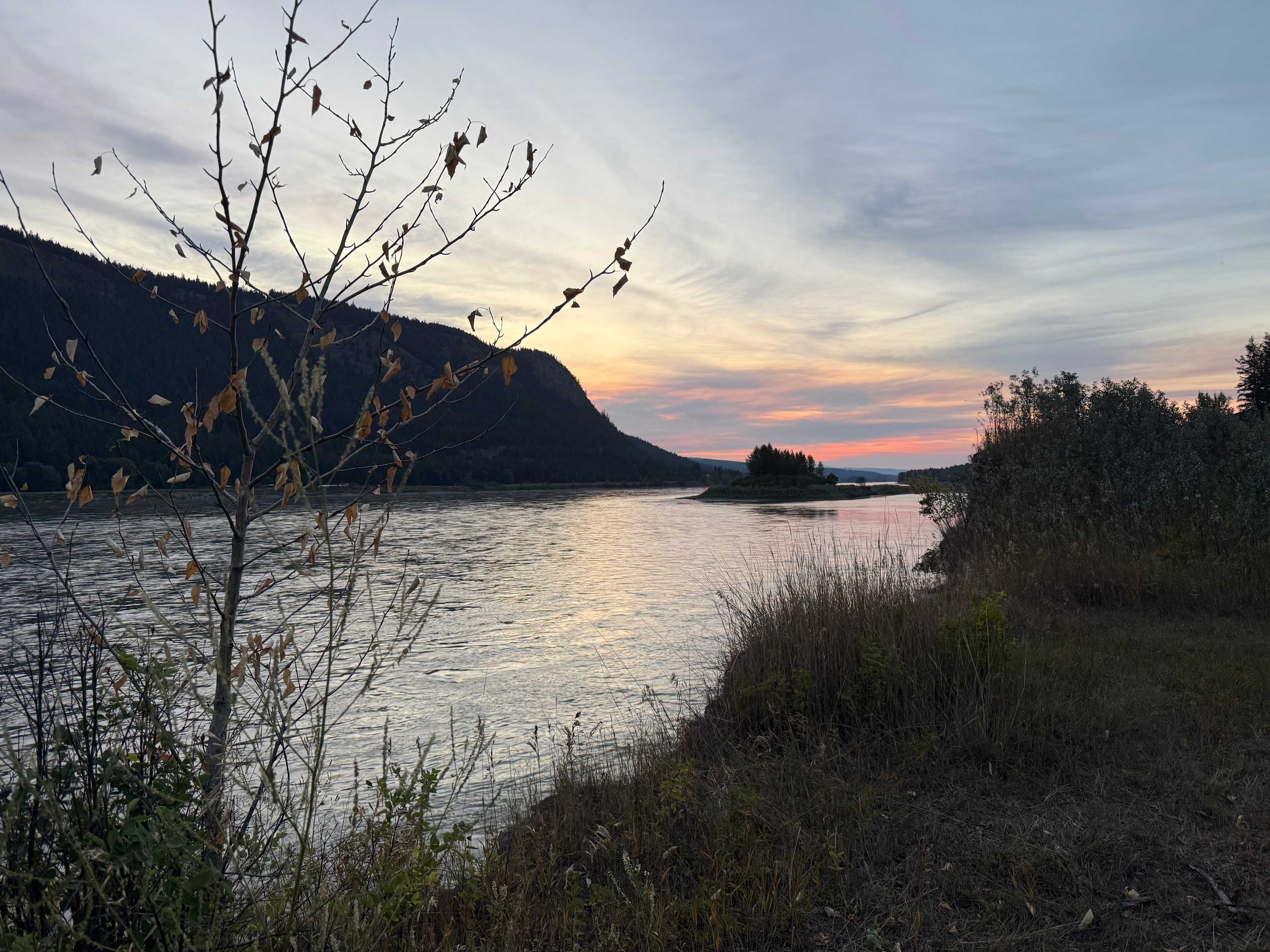 Kodama Institute and hobby farm