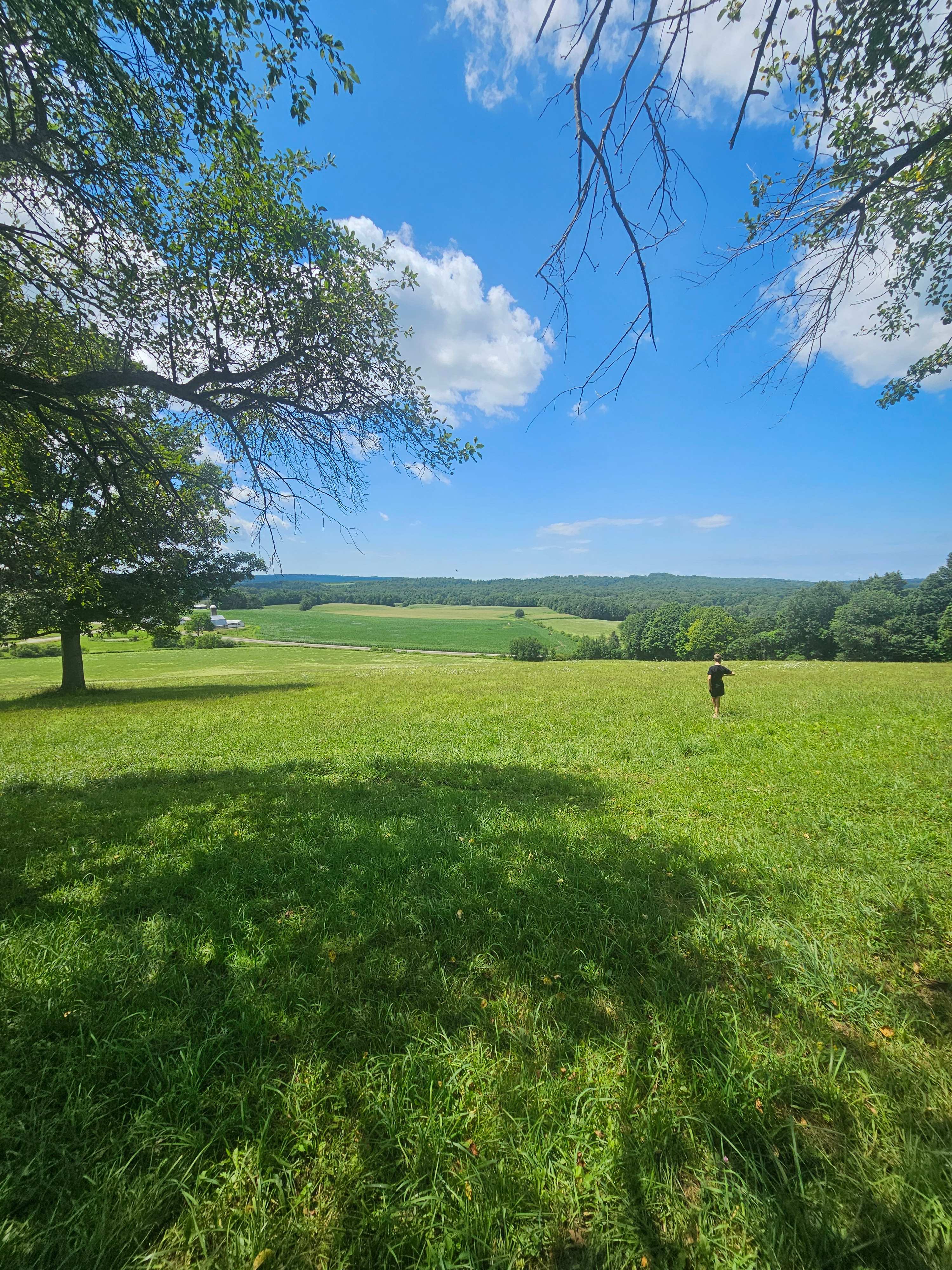 Big Oak Hill
