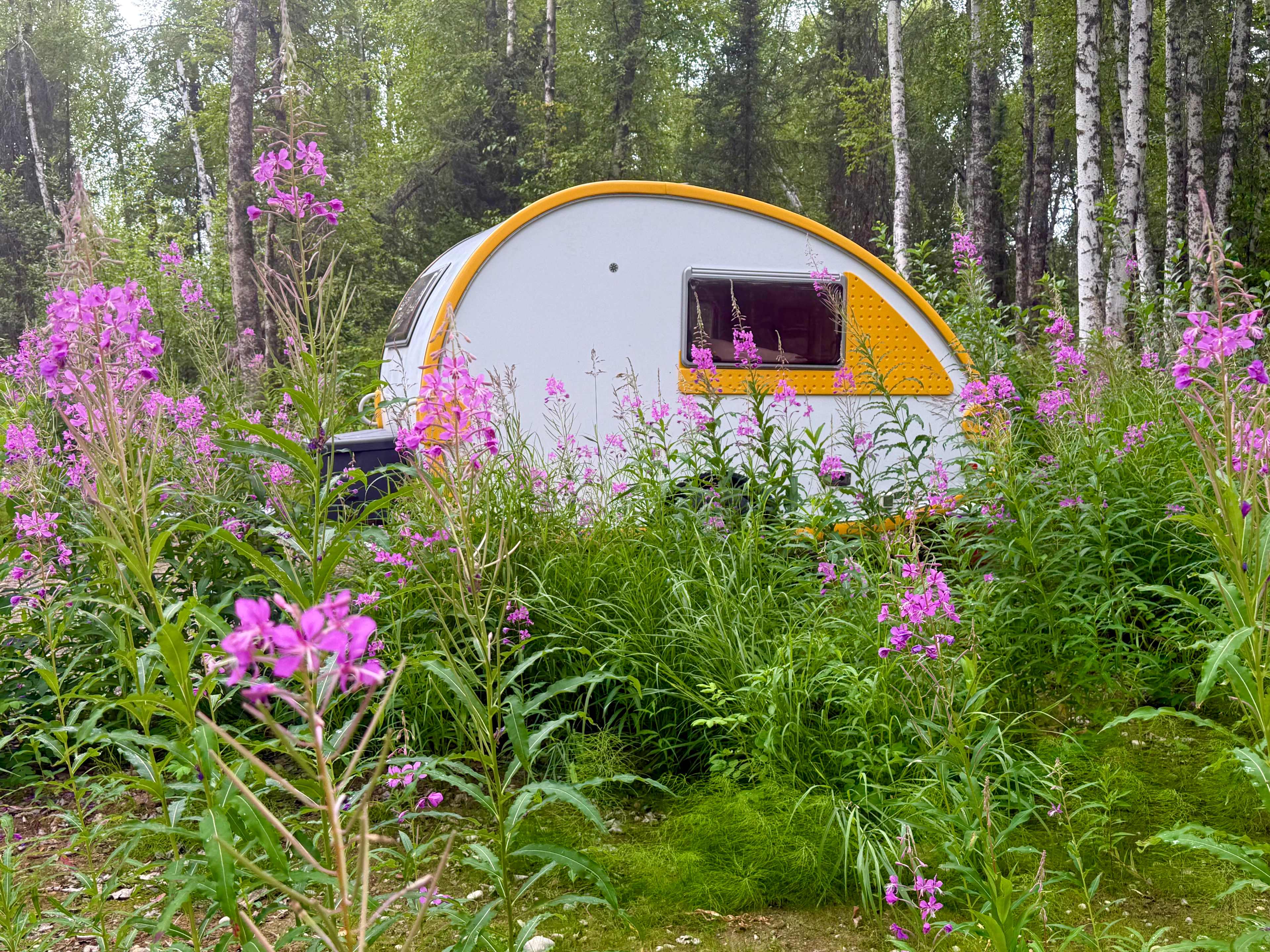 Such a cozy campsite.
